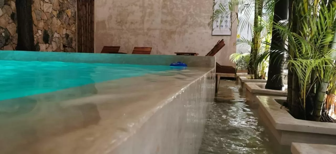 Swimming Pool in Hotel Casa Bamboo