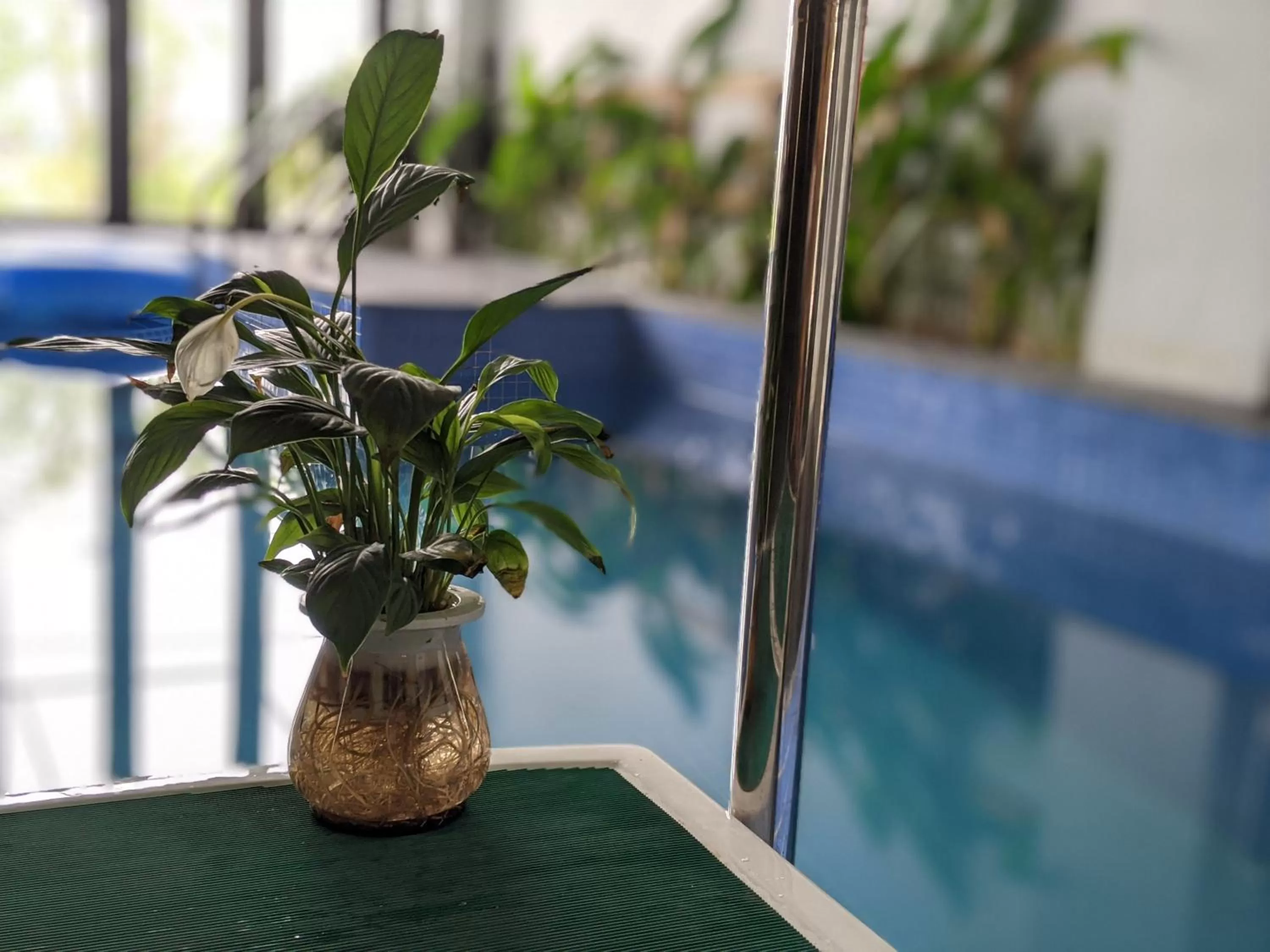 Swimming pool in ᴛᴀᴍ ᴄᴏᴄ ᴄᴏᴄᴏᴏɴ ʜᴏᴍᴇsᴛᴀʏ