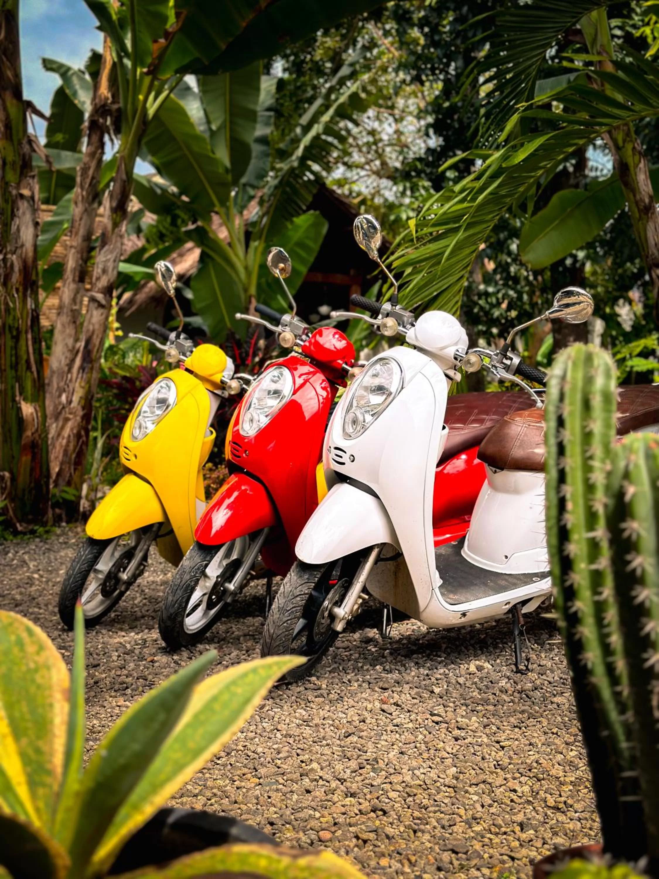 View (from property/room) in Alona Pawikan