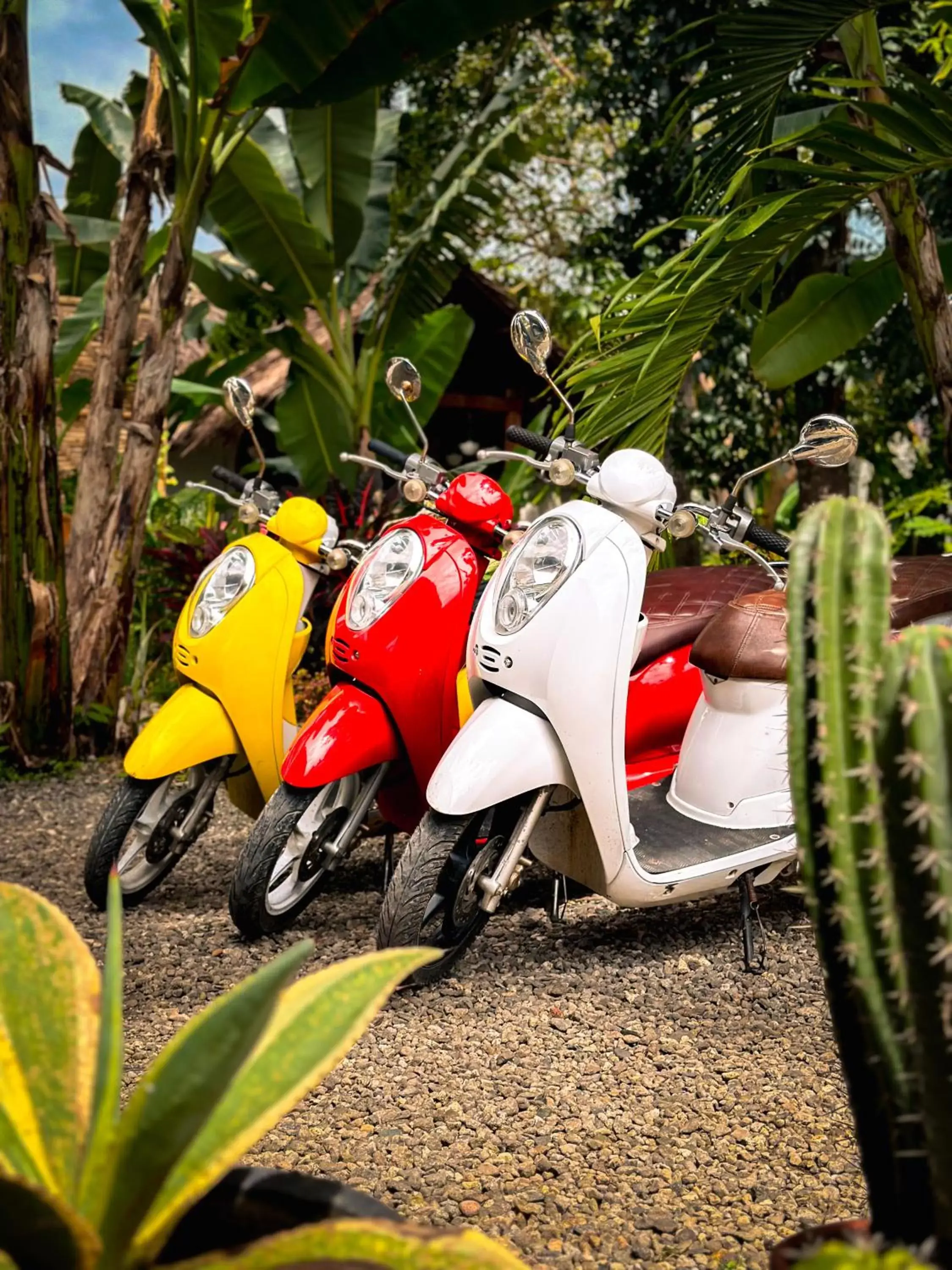 View (from property/room) in Alona Pawikan View (from property/room) in Alona Pawikan