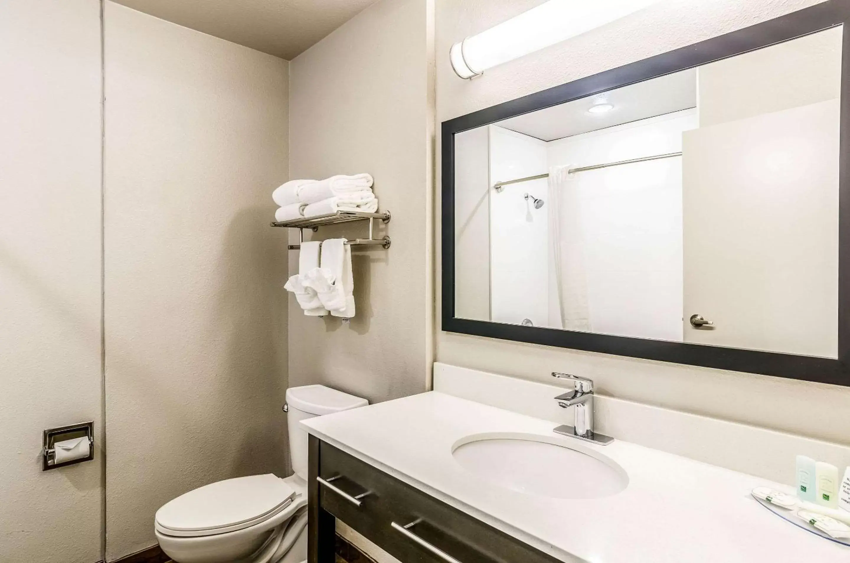 Photo of the whole room, Bathroom in Quality Inn & Suites Westminster – Broomfield