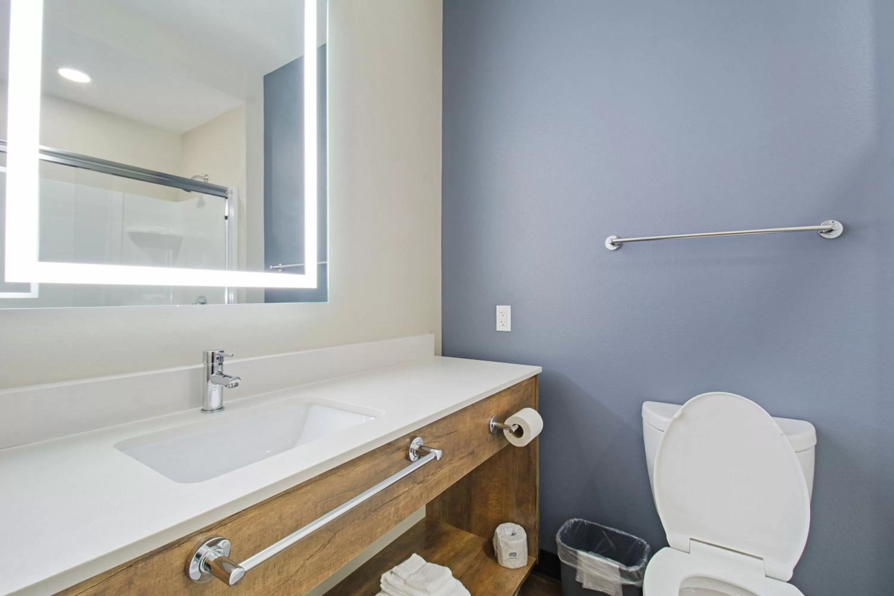 Bathroom in Extended Stay America Premier Suites - Austin - Austin Airport