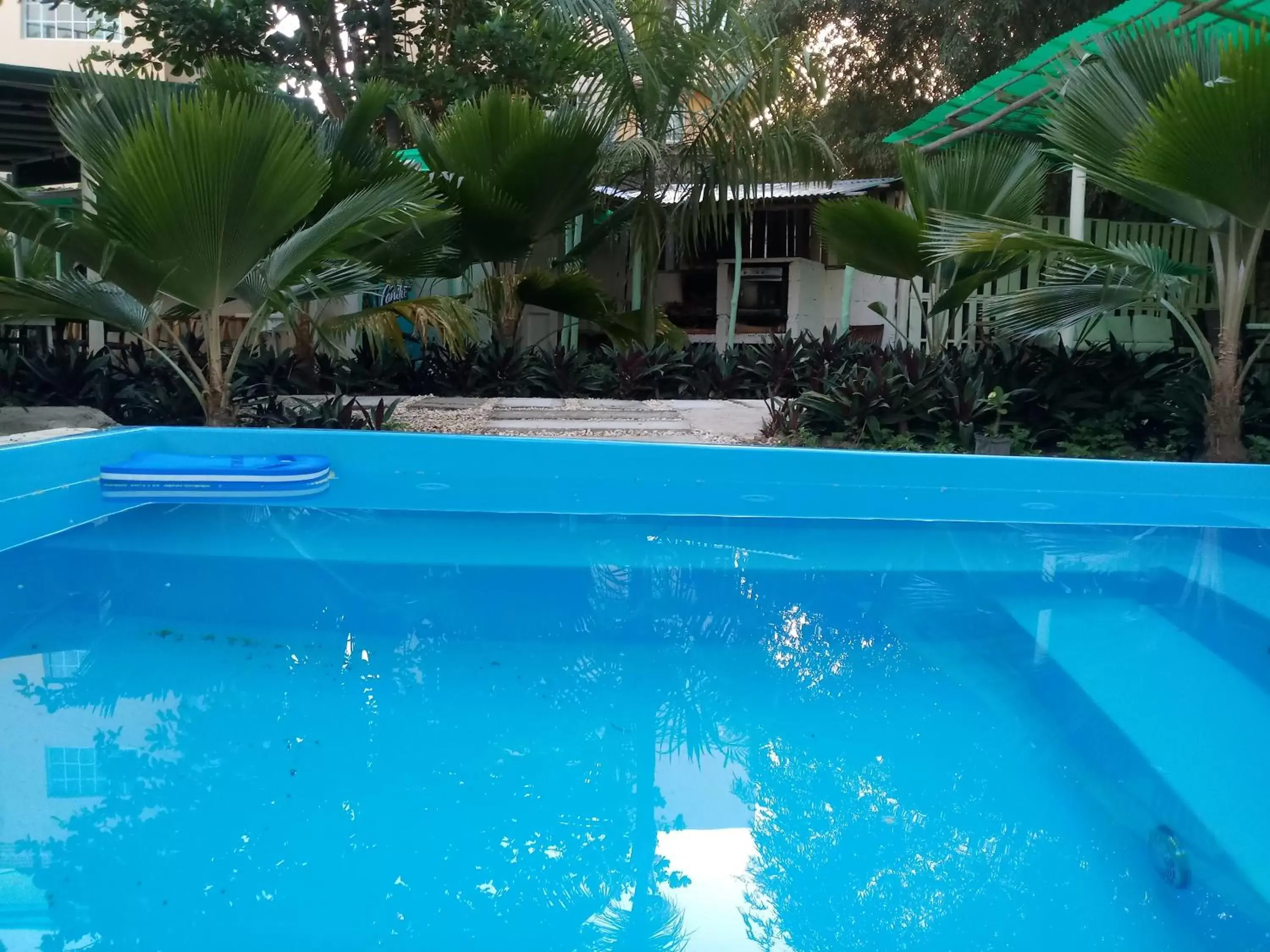 Garden, Swimming Pool in Riviera Punta Cana Eco Travelers