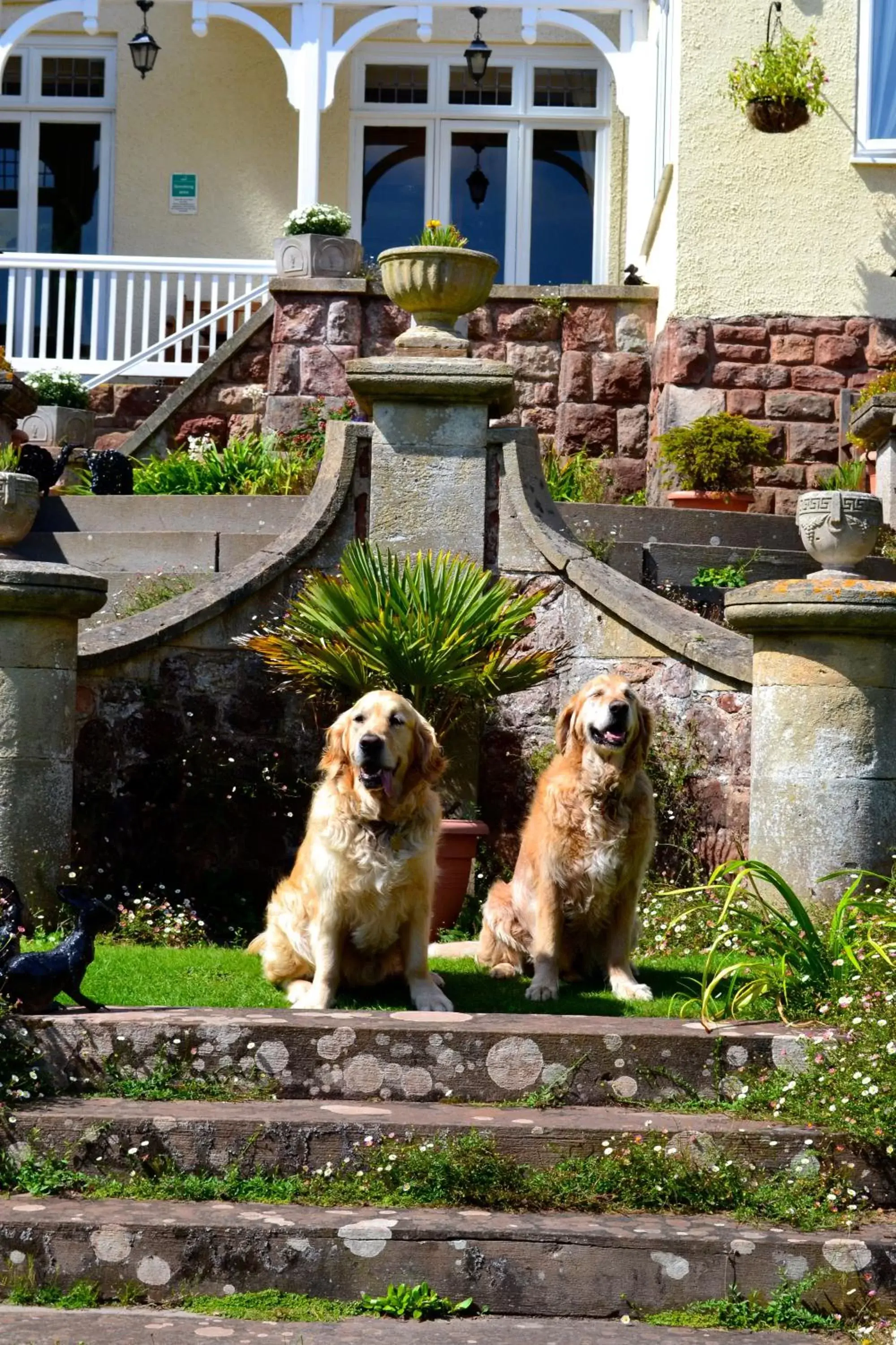 Facade/entrance, Pets in Northfield Hotel