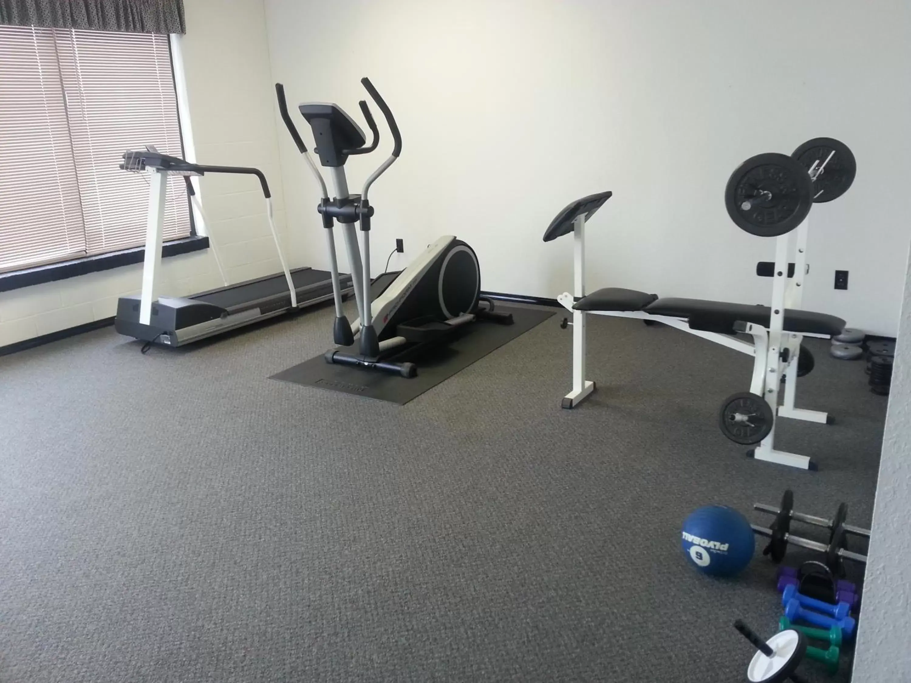 Fitness centre/facilities, Fitness Center/Facilities in AmericInn by Wyndham Oscoda Near AuSable River
