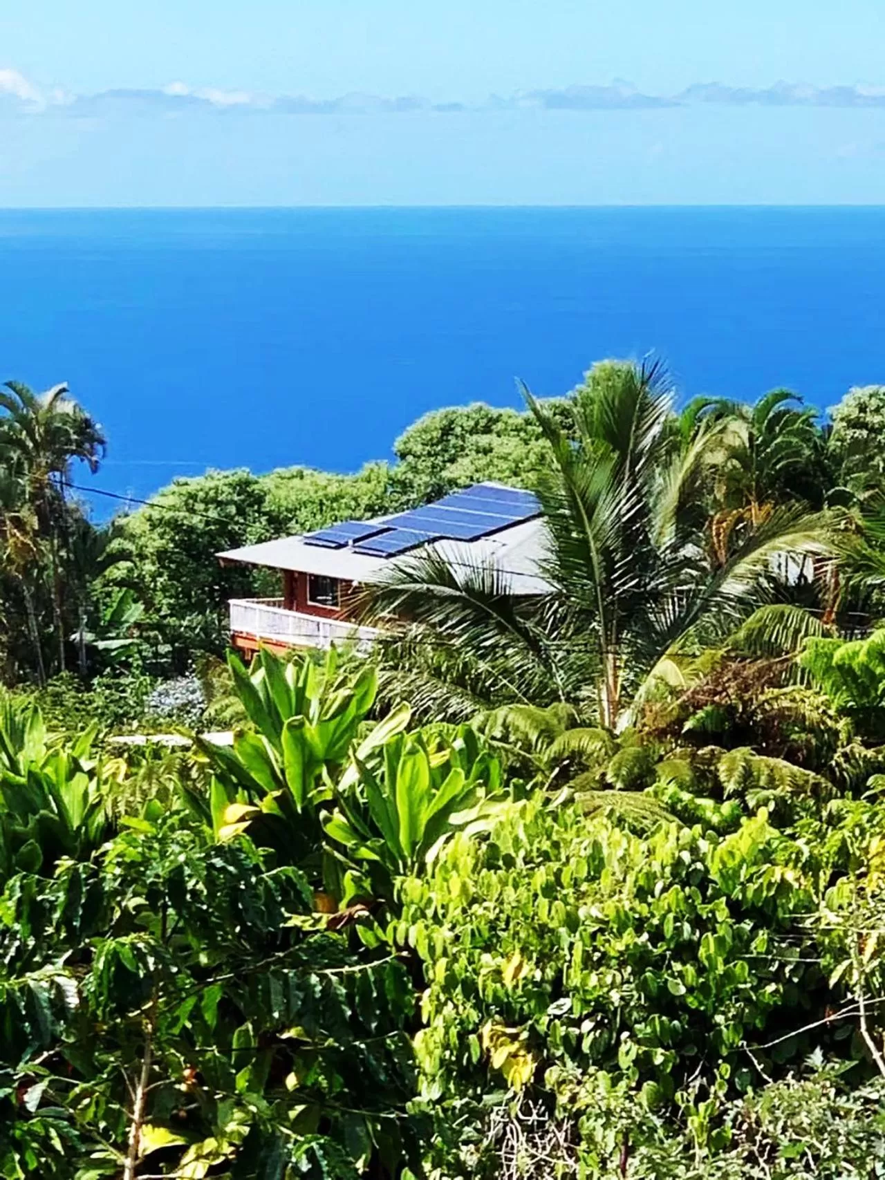 Property building, Sea View in Coffee Garden