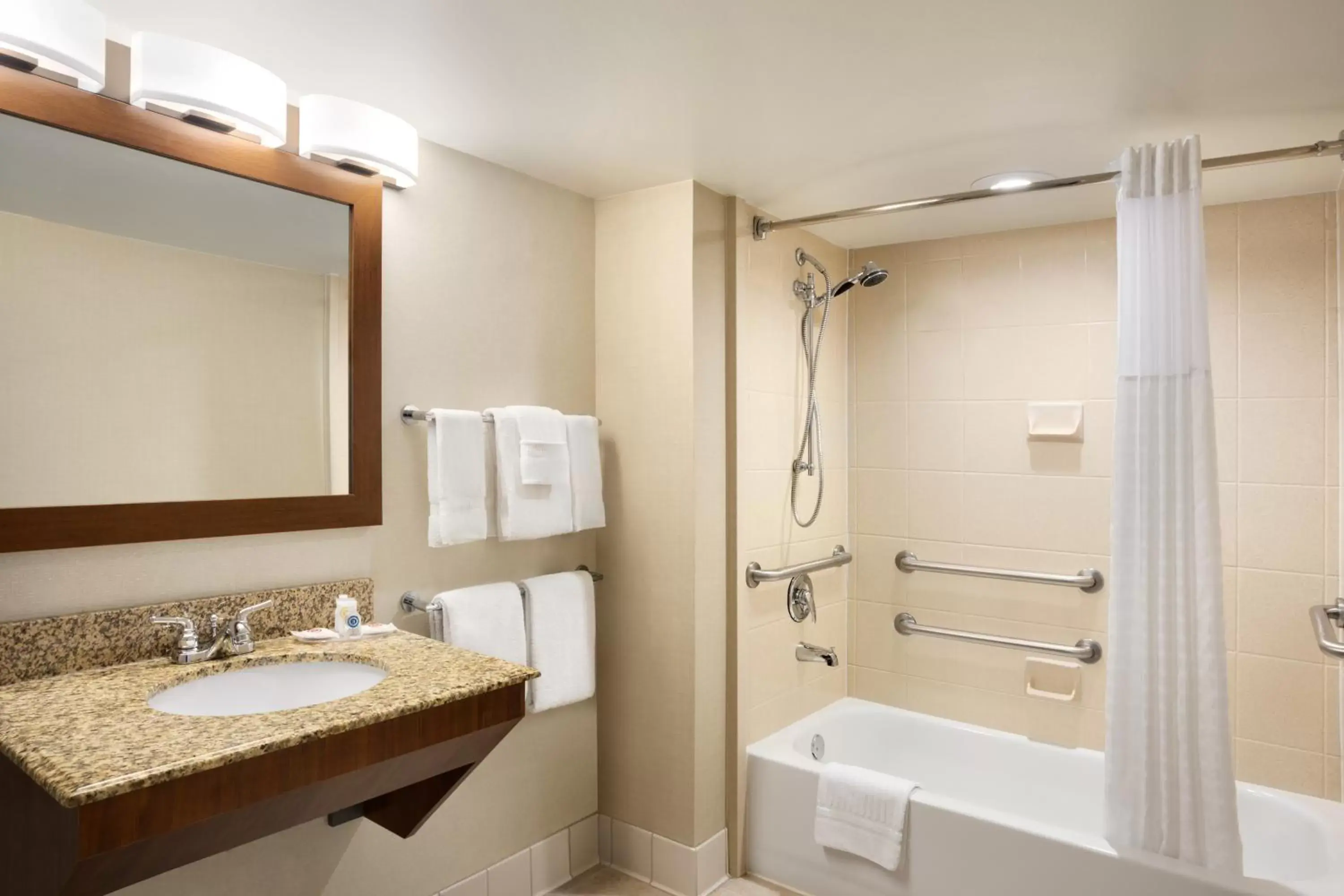 Bathroom in Comfort Inn & Suites Presidential