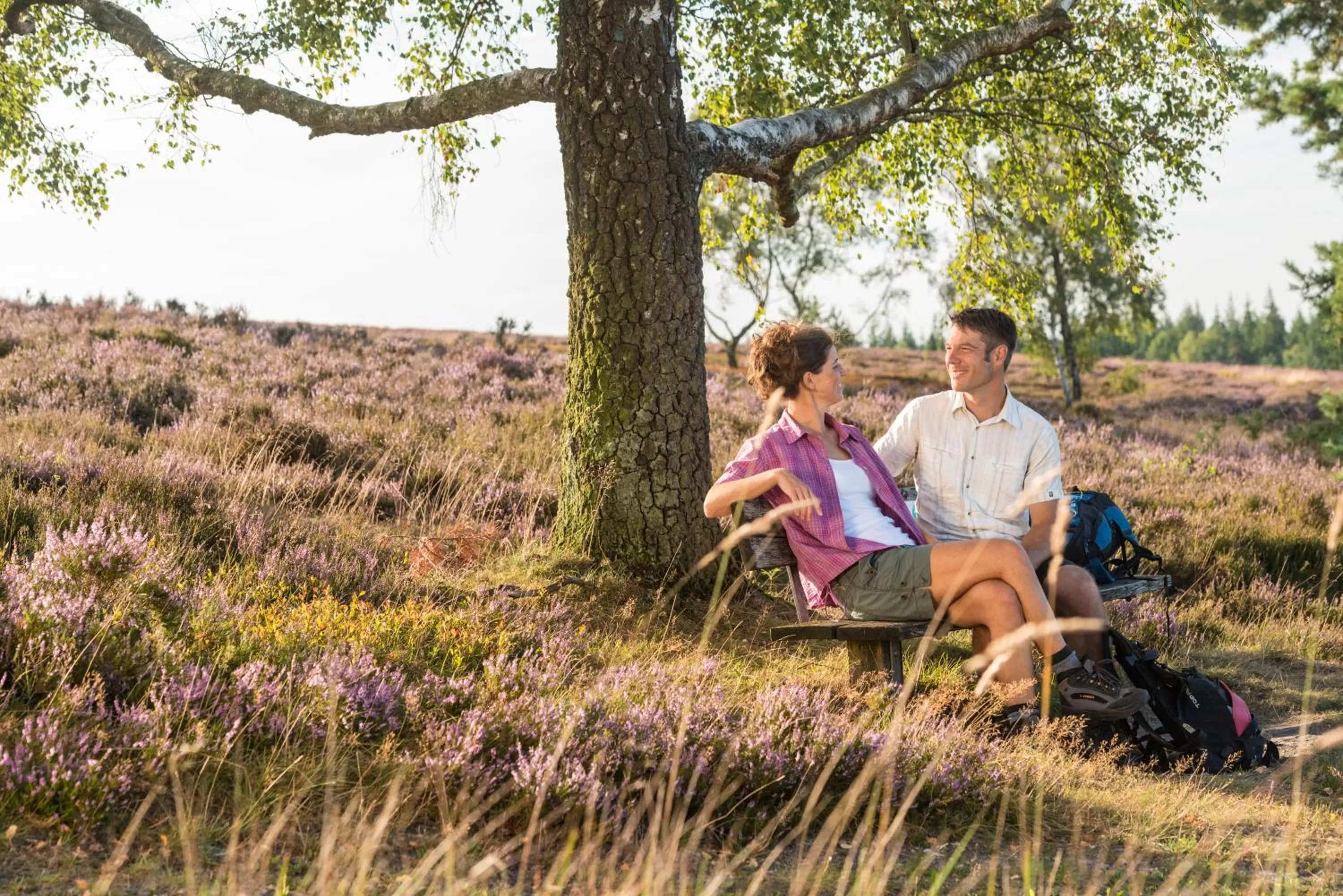 Natural landscape in Anders Hotel Walsrode