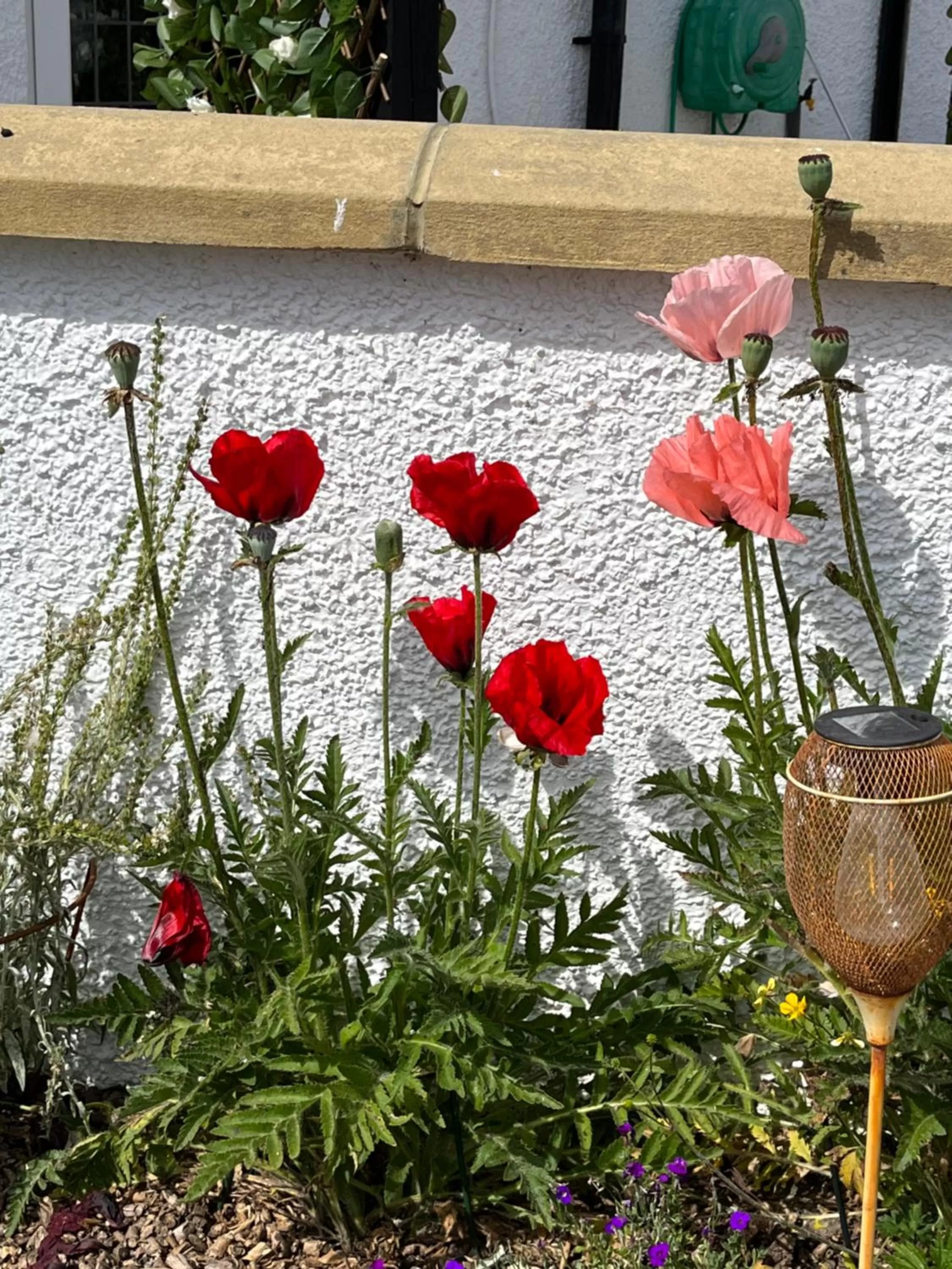 Retreat at The Knowe Auchincruive Estate