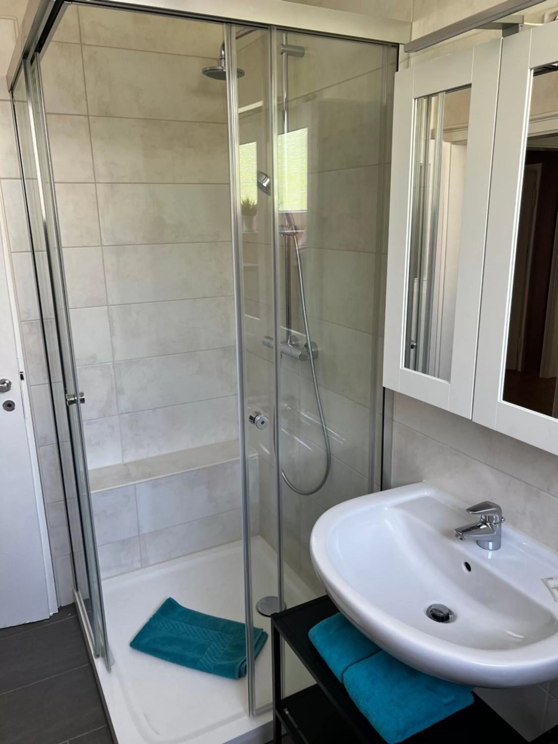 Shower in Hotel & Apartment Am Theaterplatz