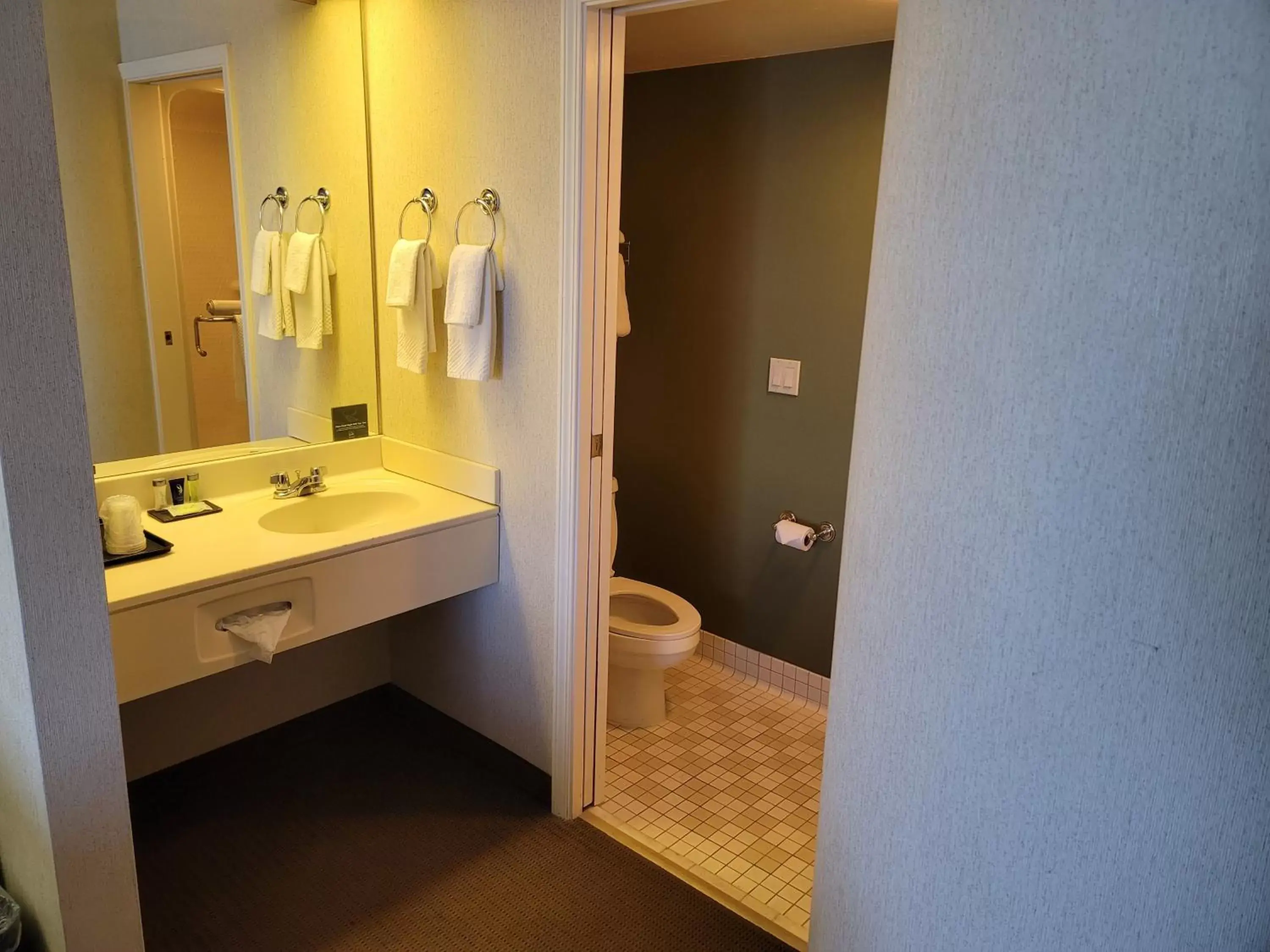 Bathroom in Sleep Inn & Suites Acme – Traverse City