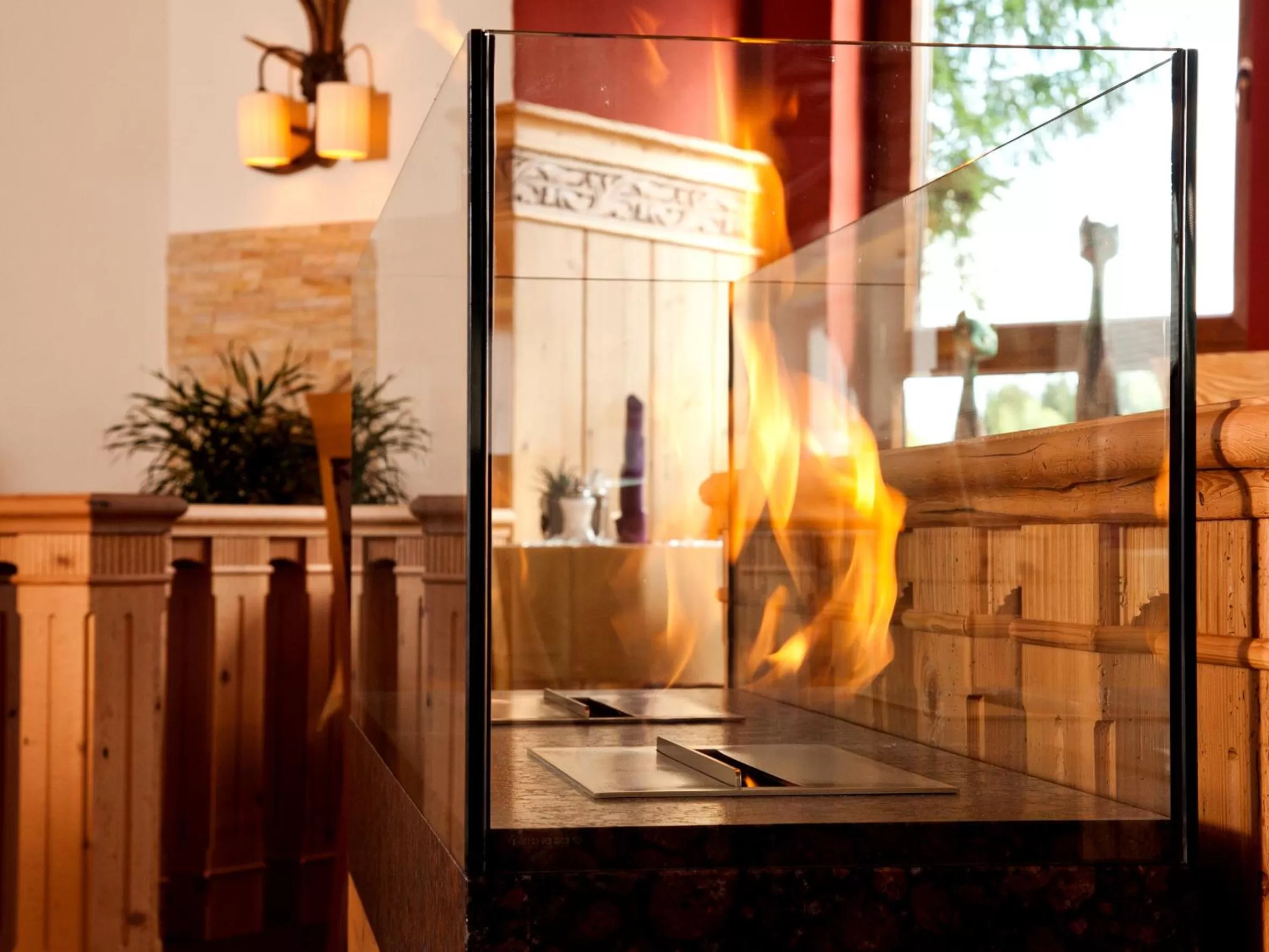 Other in Wellness- und Vitalhotel Böhmhof