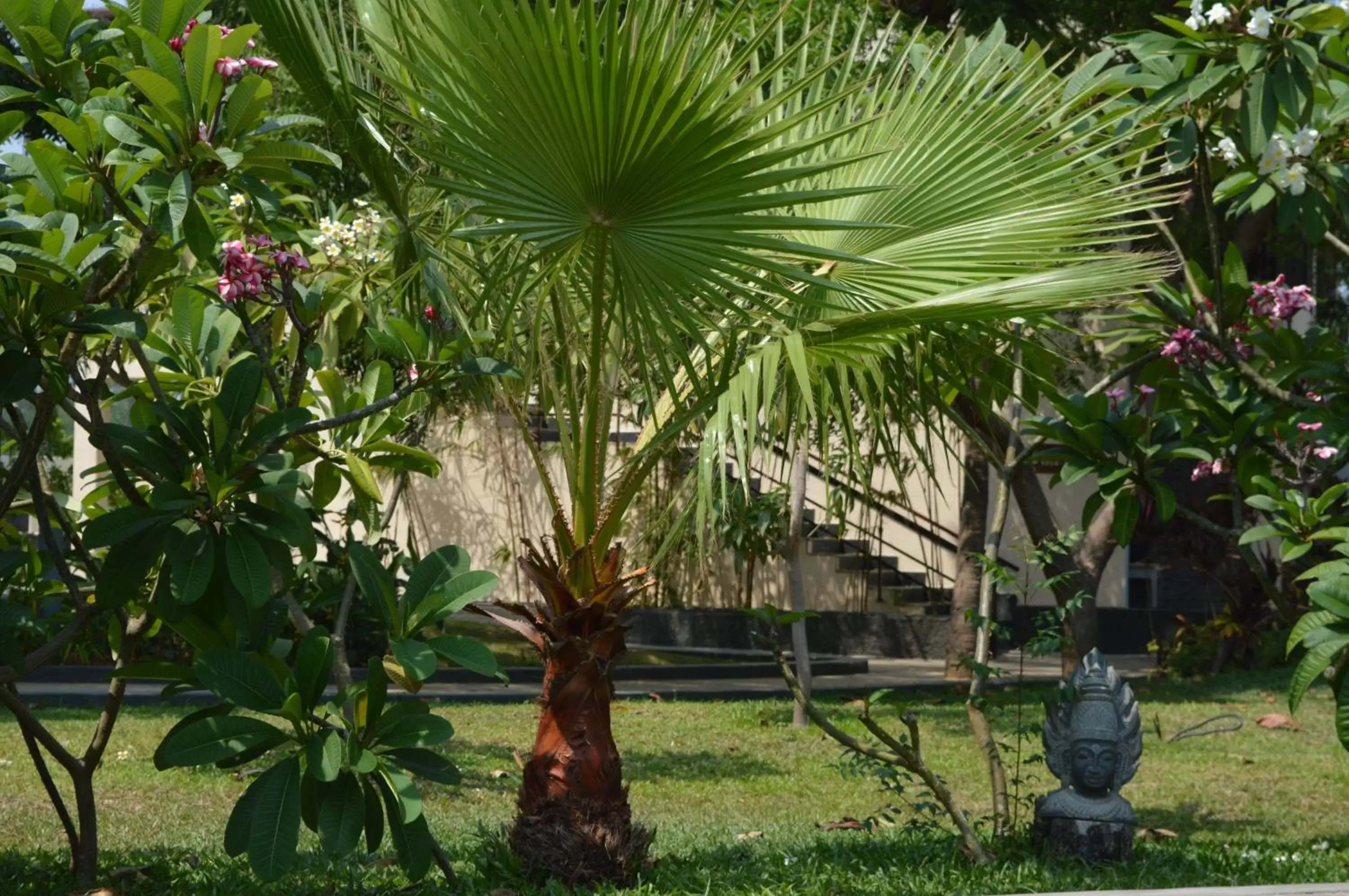 On site, Garden in Welcomhotel by ITC Hotels, Kences Palm Beach, Mamallapuram