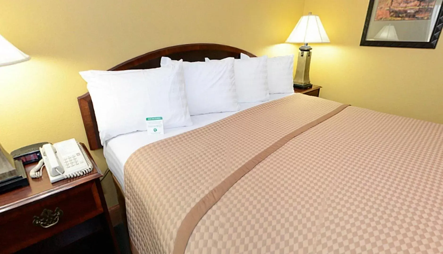 Deluxe King Room in Americas Best Value Inn Iola