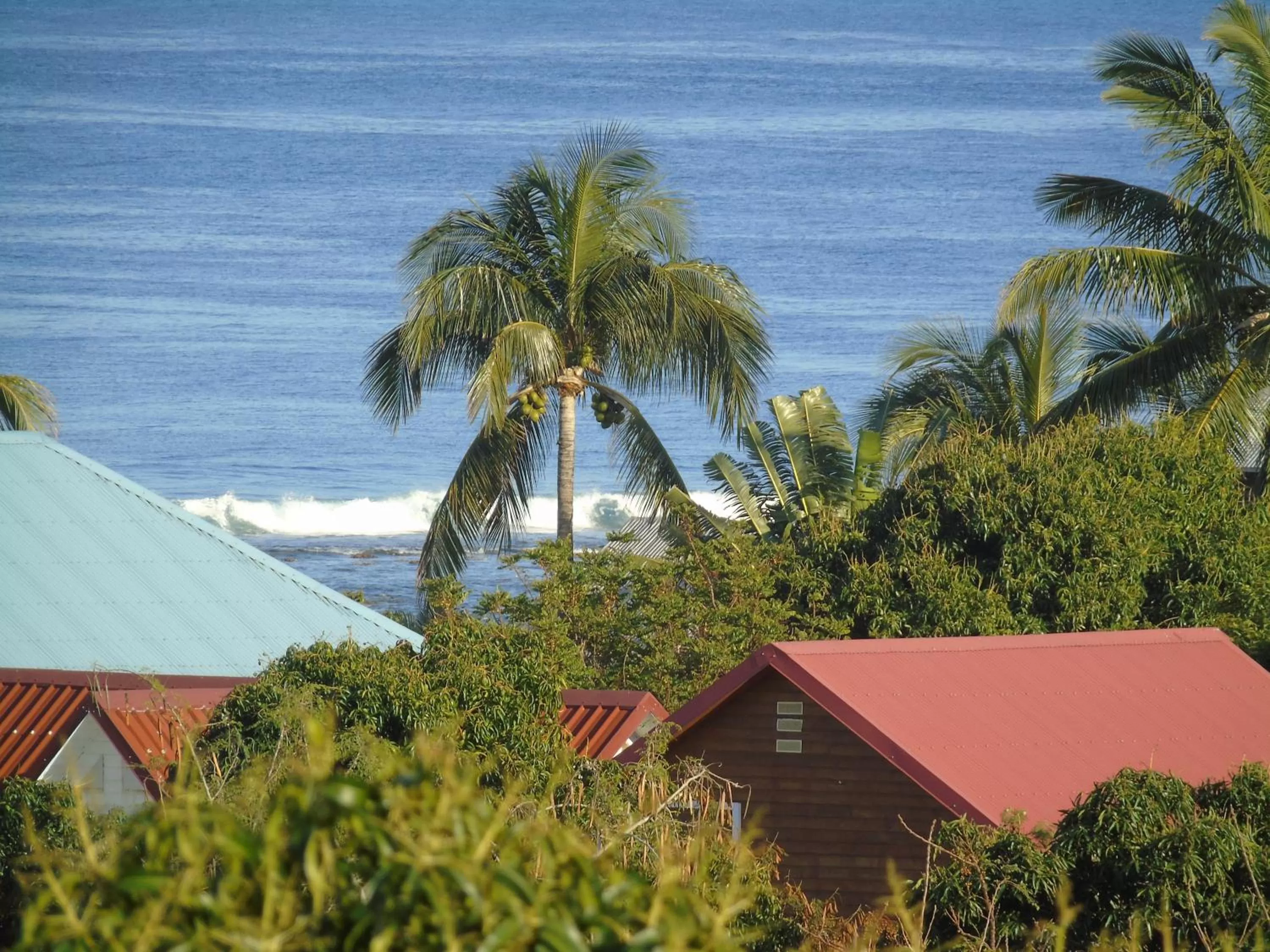 Chambre d'Hôte Ti coin Tranquille