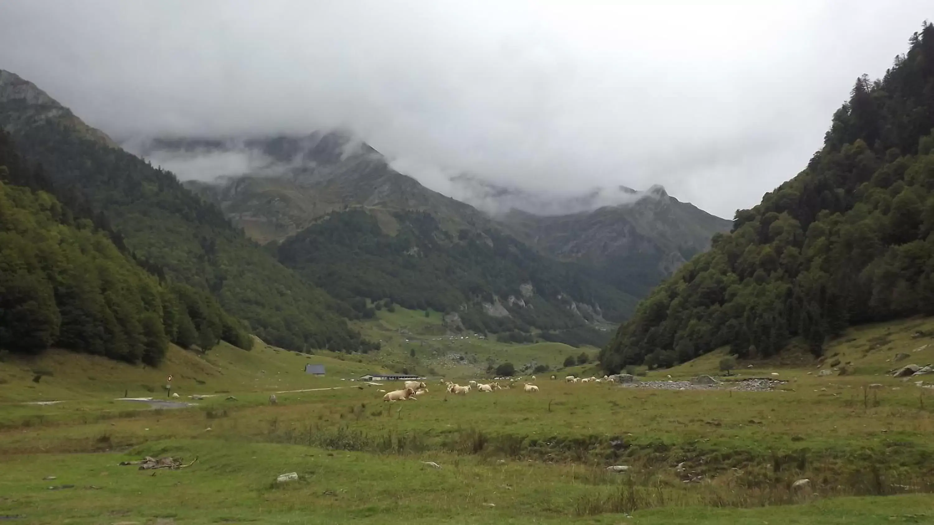 Natural landscape in Fasthotel Pau