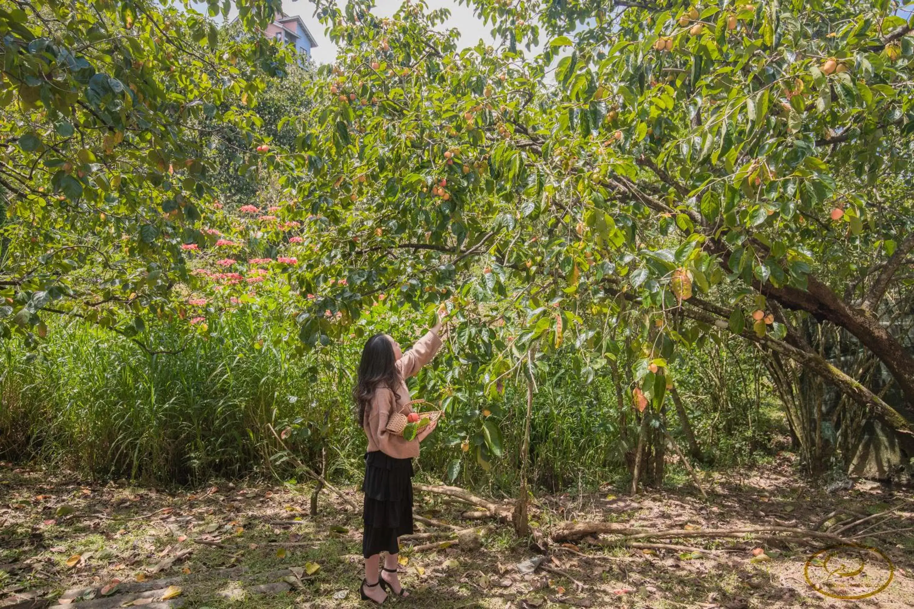 Natural landscape in Hong Mon Villa