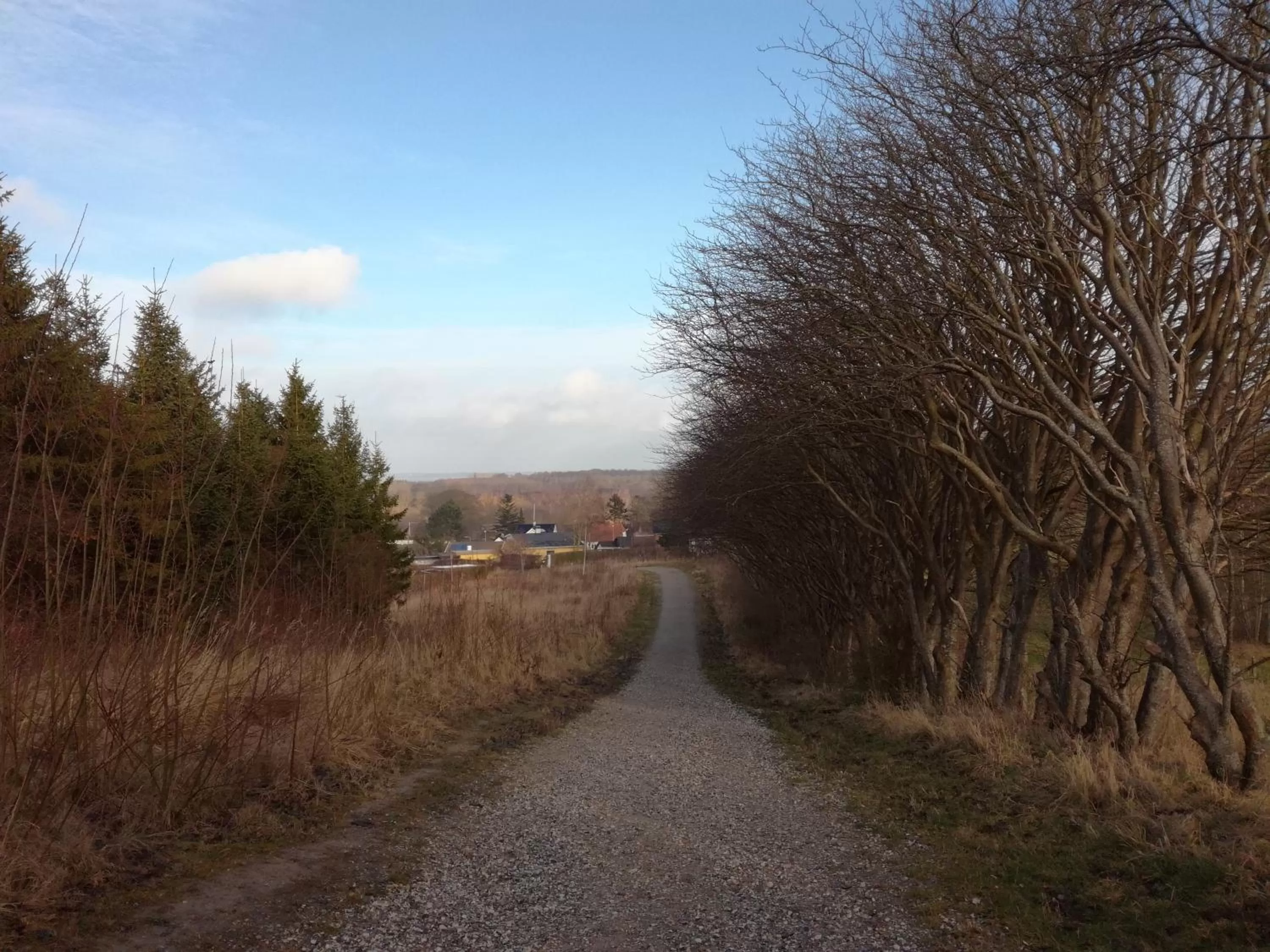 Natural landscape in Ølsted Kro