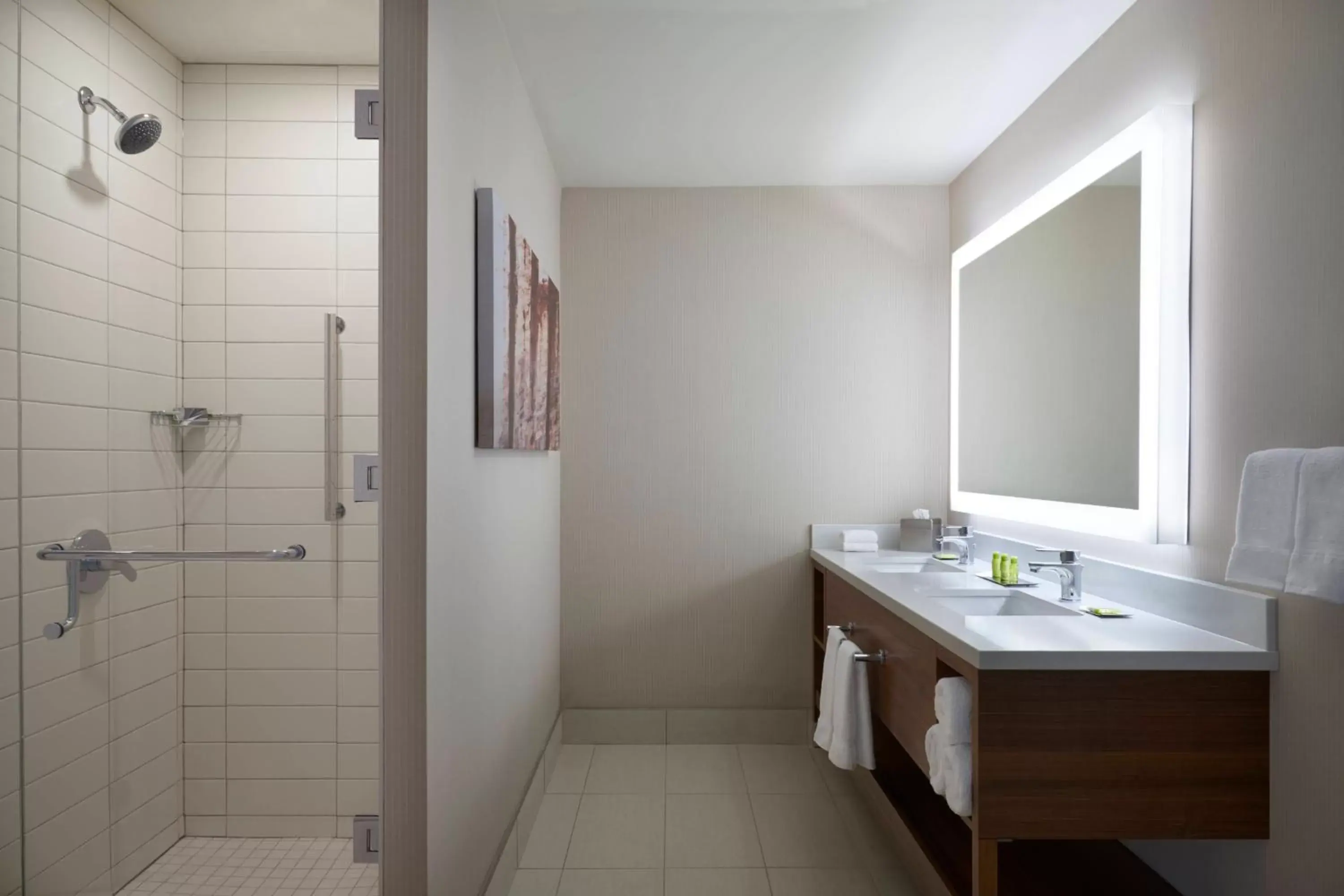 Photo of the whole room, Bathroom in Delta Hotels by Marriott Toronto Airport & Conference Centre