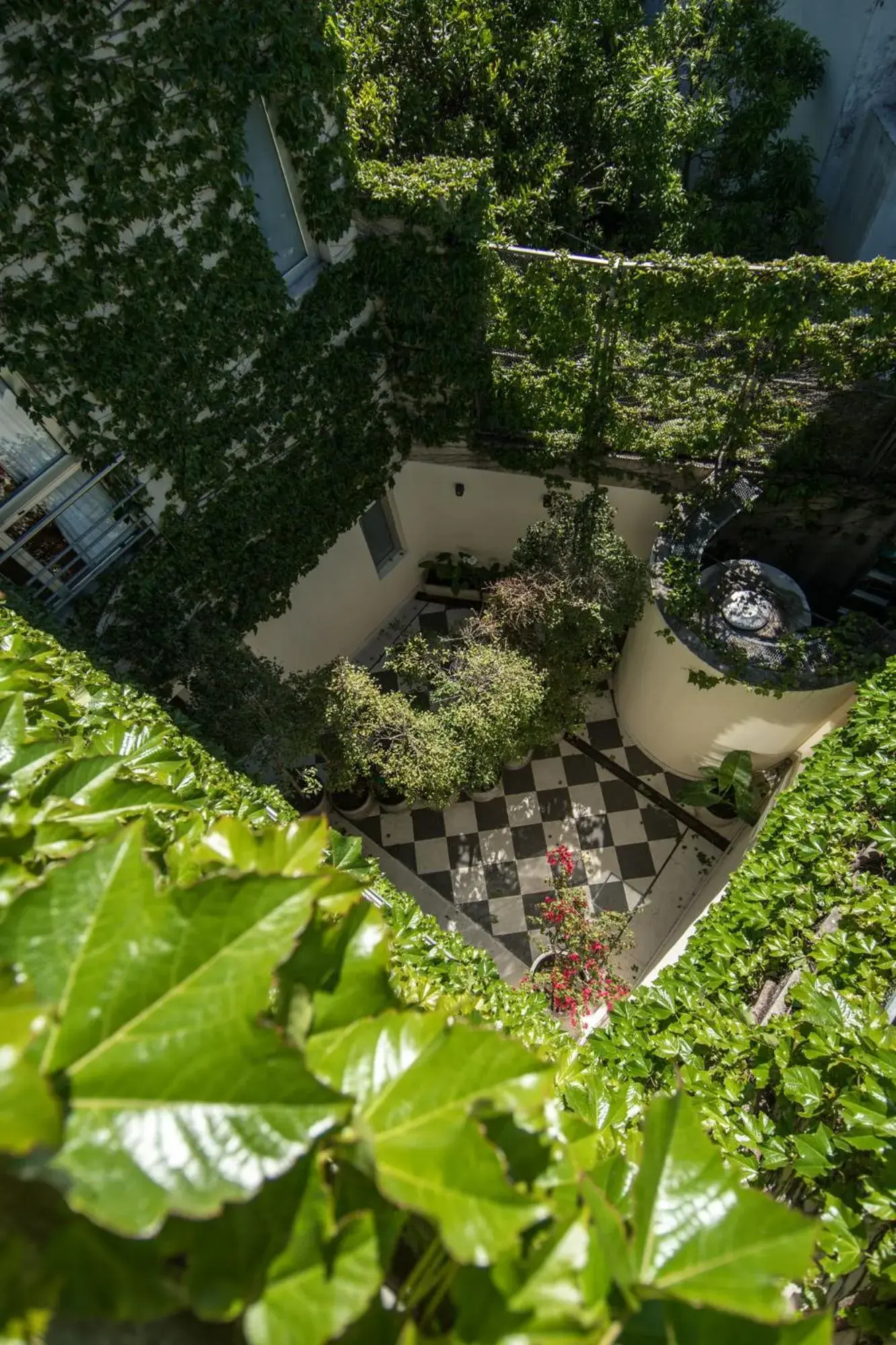 Patio, Bird's-eye View in Magnolia Hotel Boutique