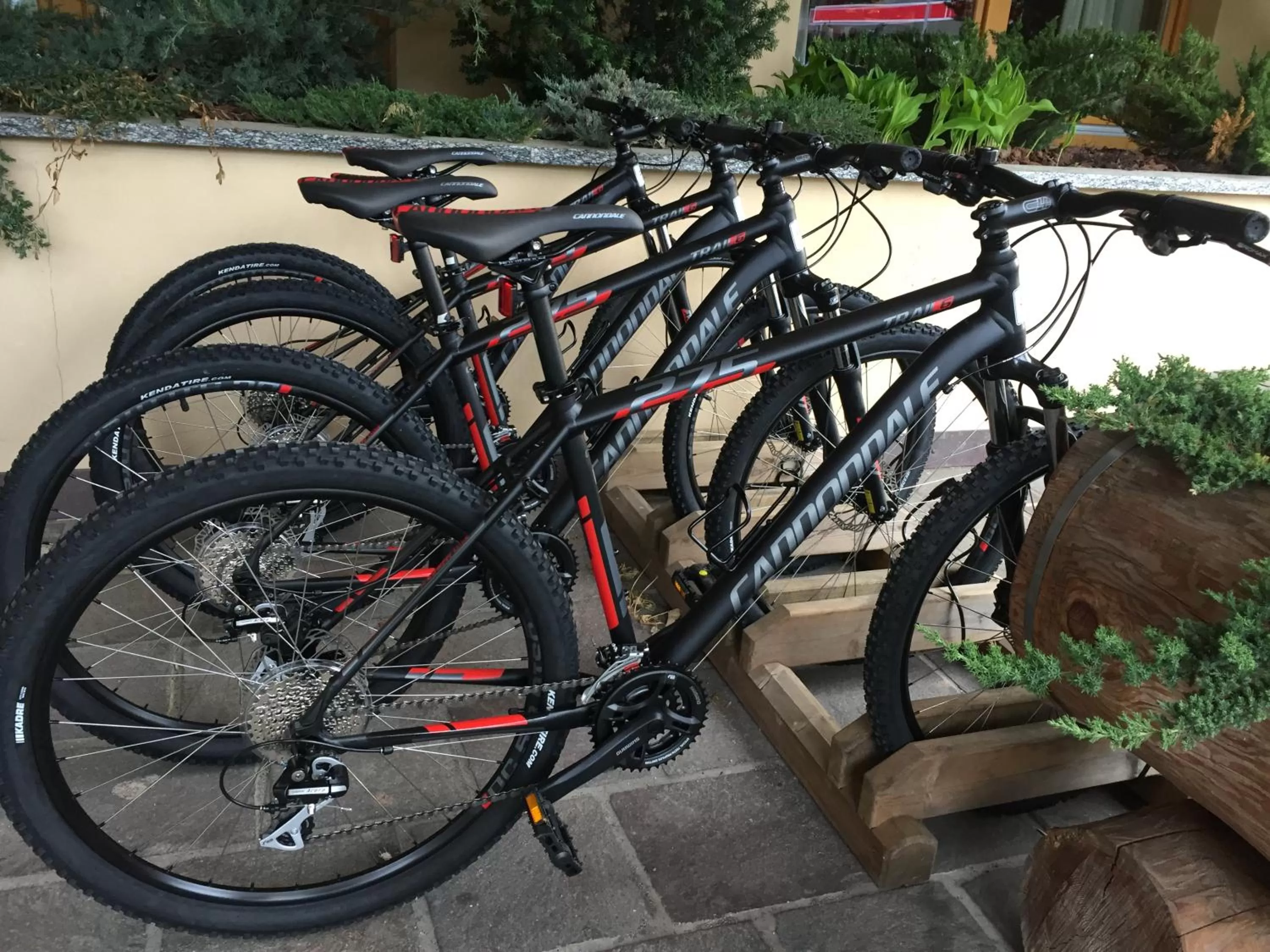 Area and facilities in Hotel Garni Pegrà