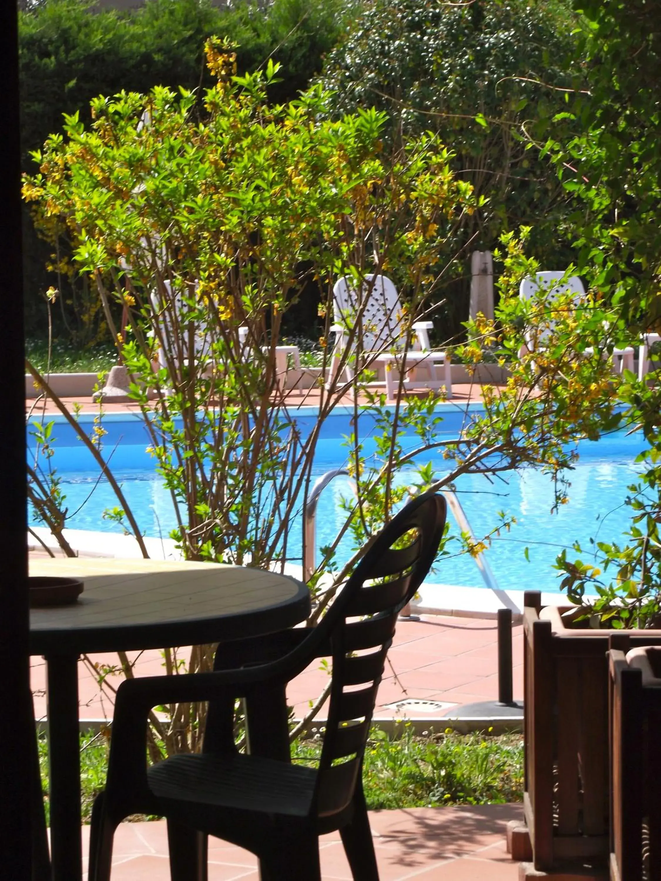 View (from property/room), Pool View in Hotel Duca Della Corgna