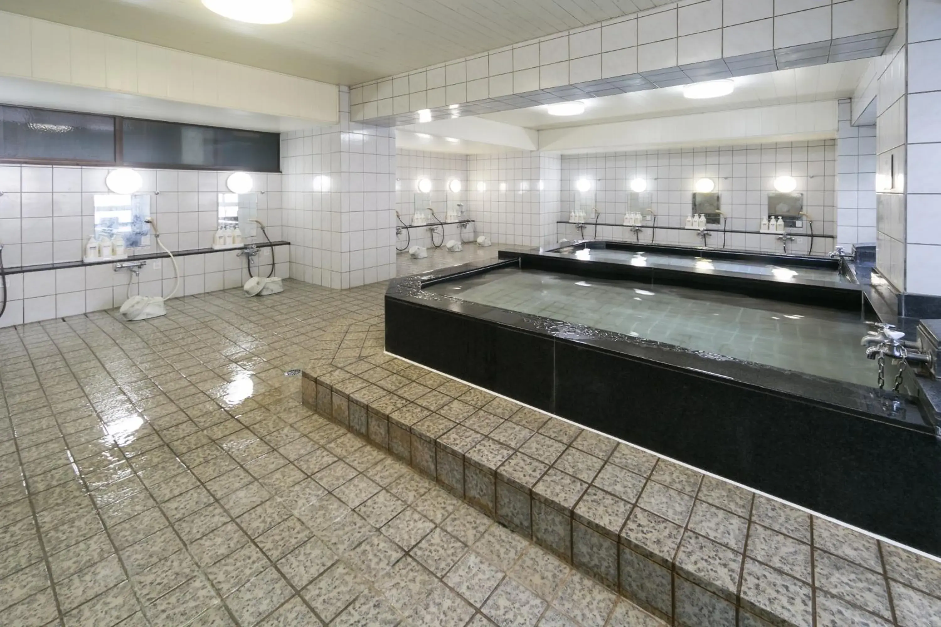 Public Bath, Swimming Pool in Shoei Daini Bekkan