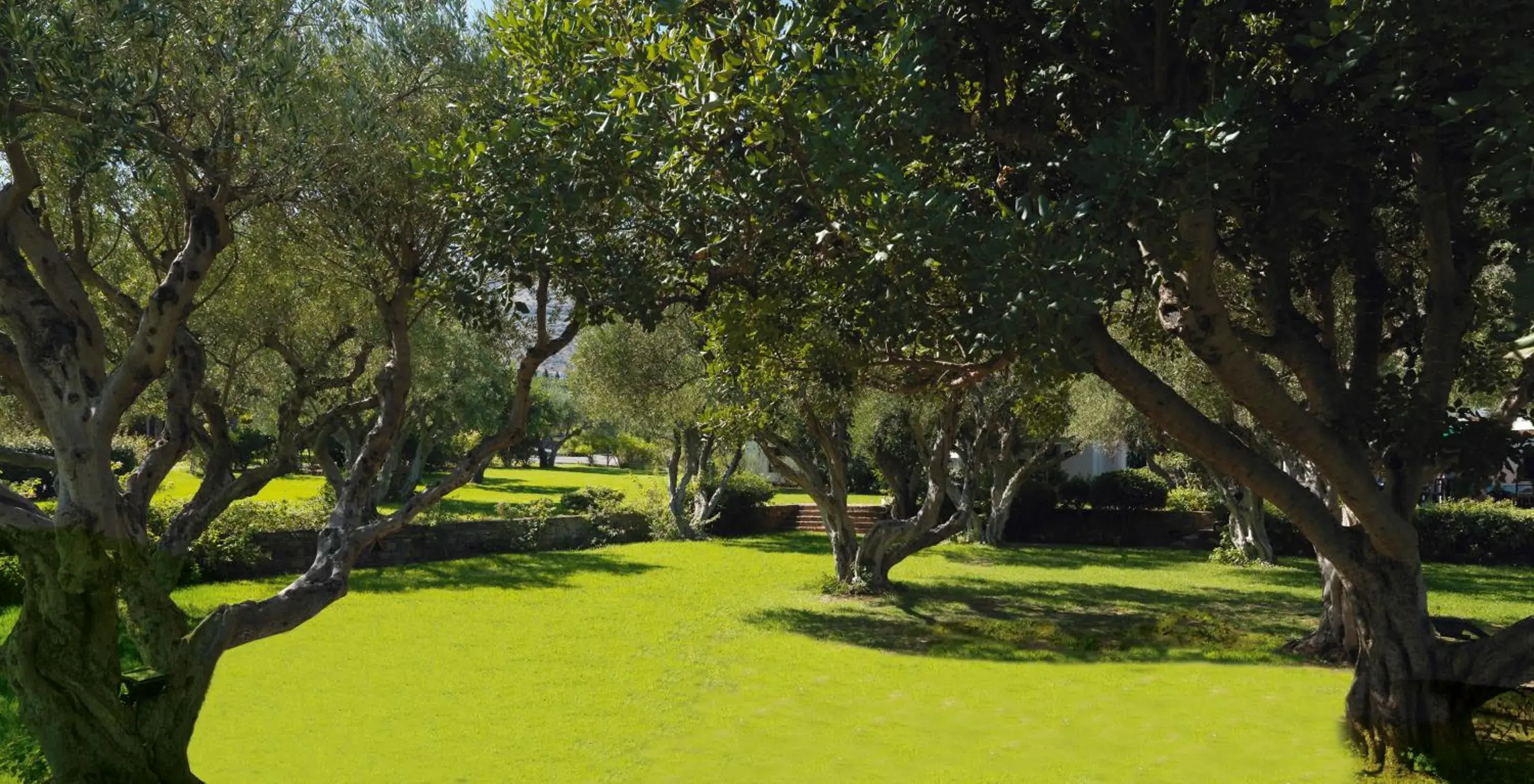 Garden in Elounda Beach Hotel & Villas, a Member of the Leading Hotels of the World