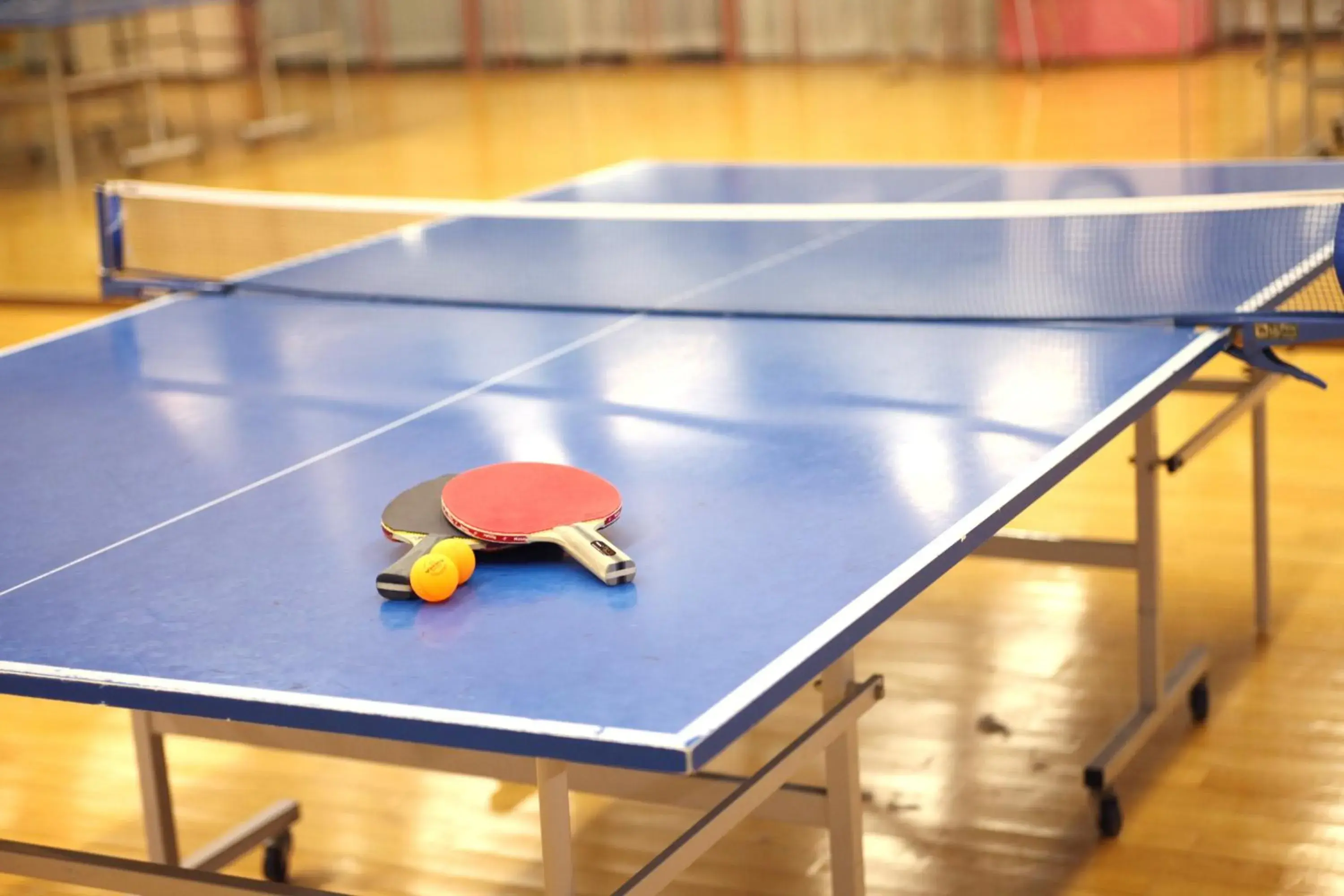 Table tennis, Tennis/Squash in Fuji Premium Resort