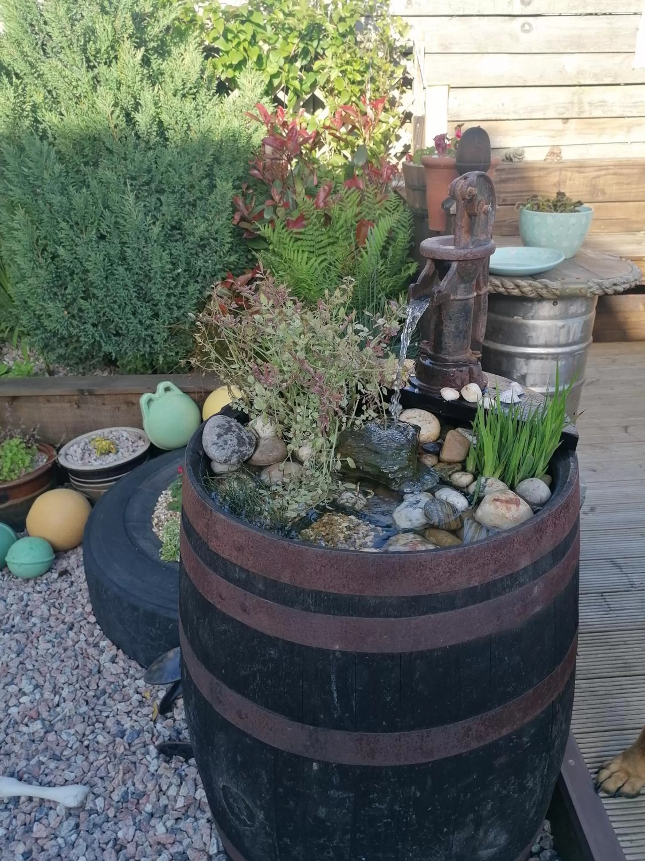 Garden in Pensalda Guest House