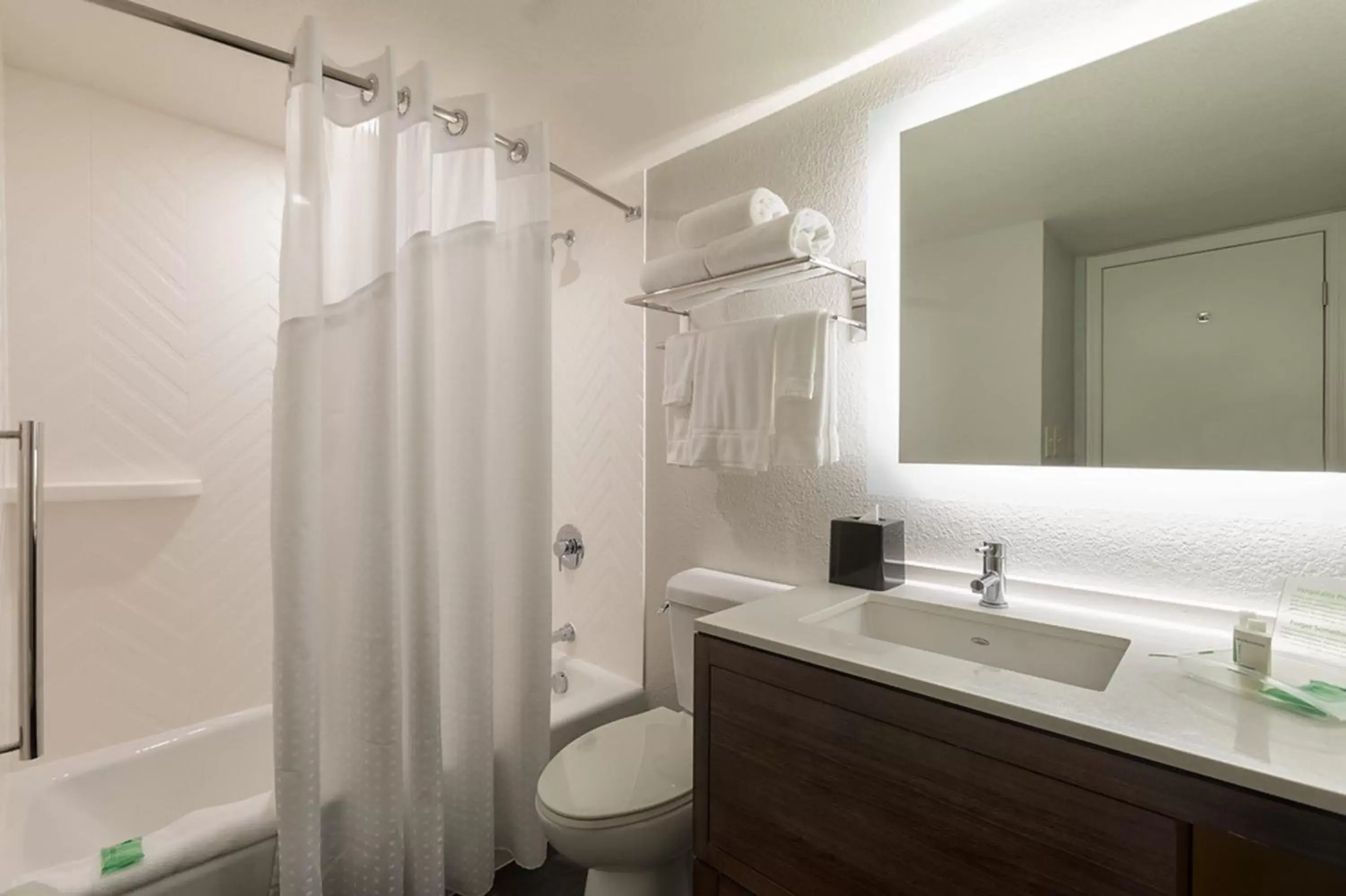 Bathroom in Holiday Inn & Suites Orlando SW - Celebration Area, an IHG Hotel