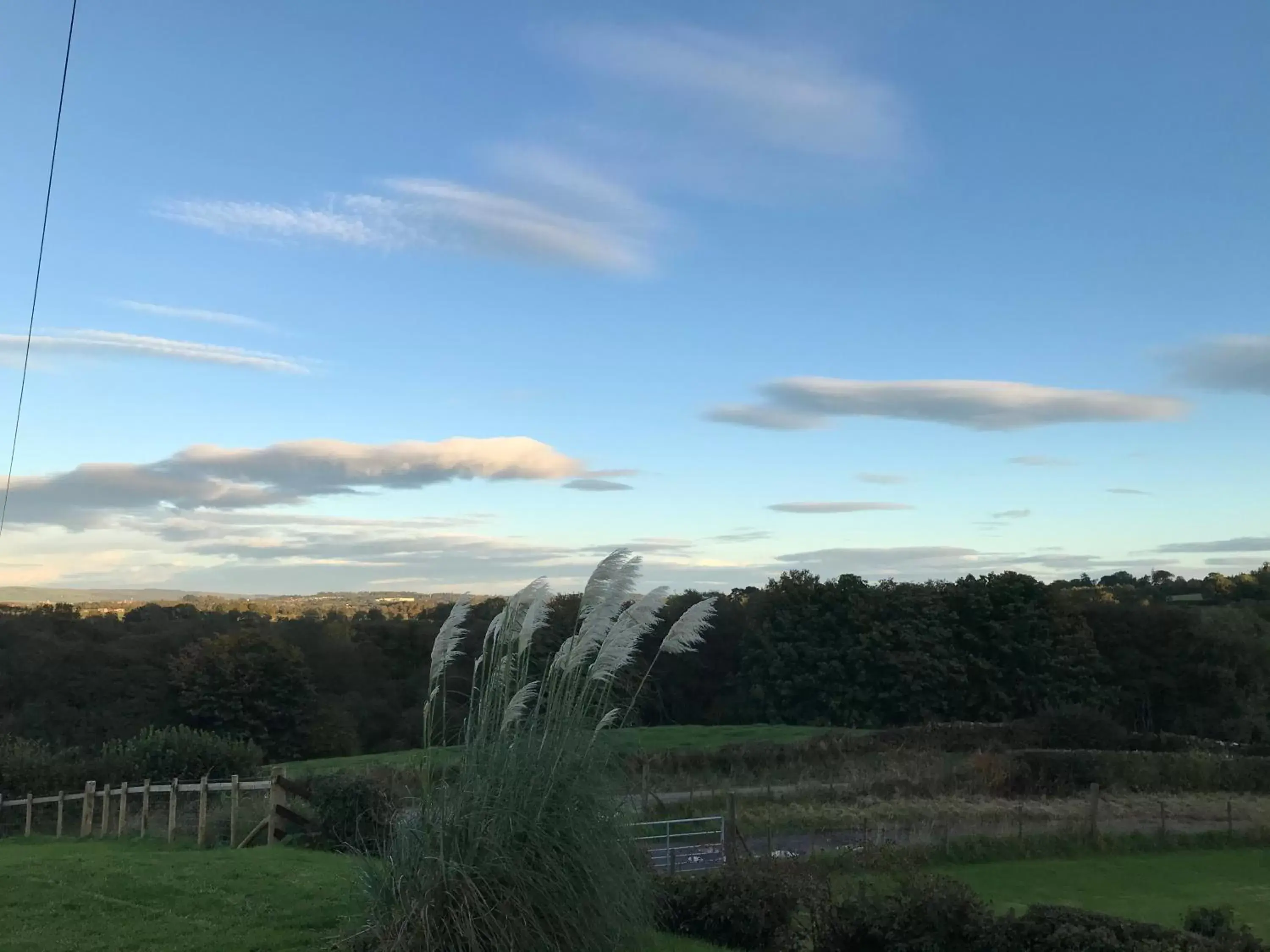Natural Landscape in Jacquie's B&B -Dumfries-Room with a view - hot tub