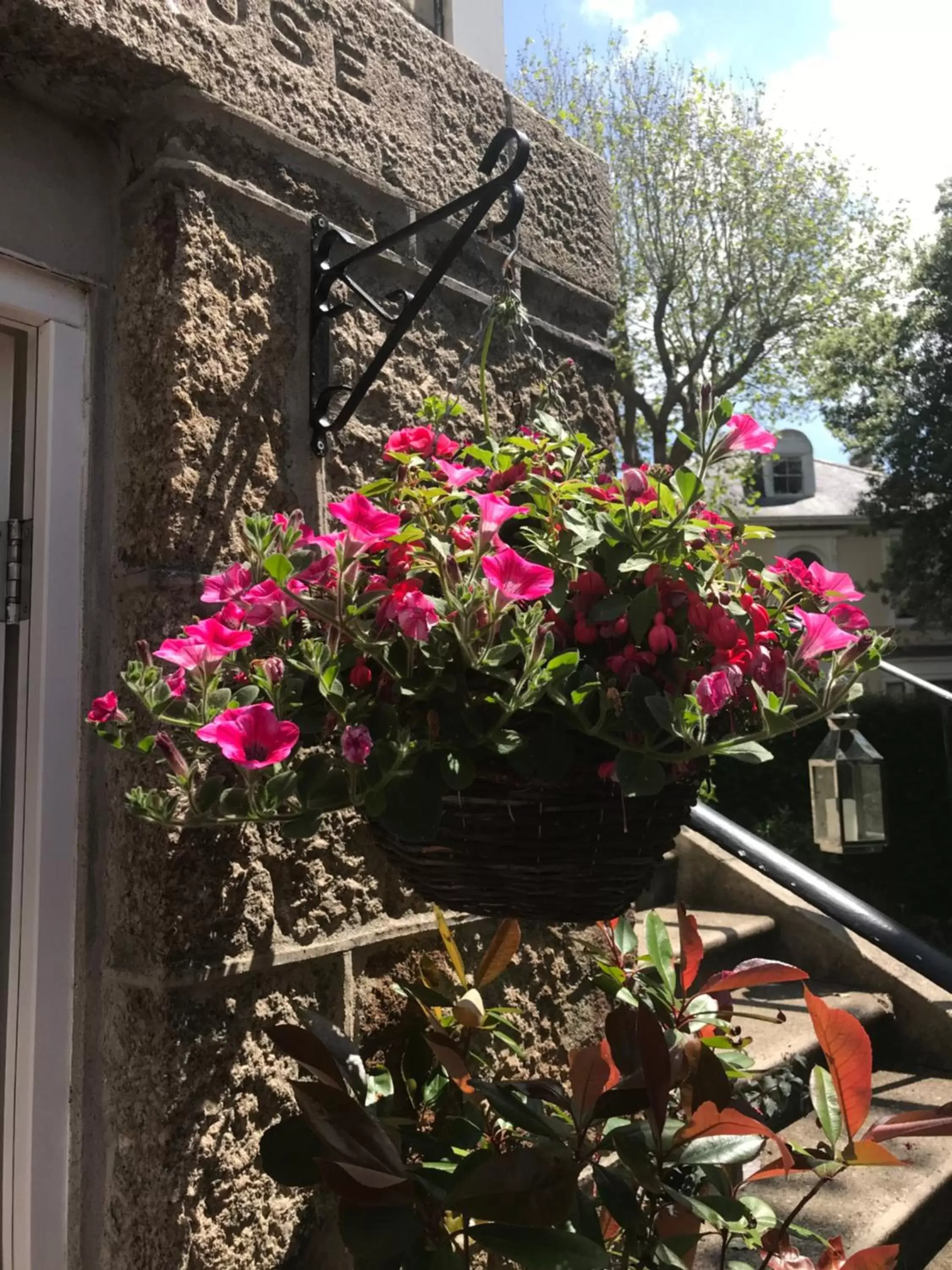 Garden in Holbein House