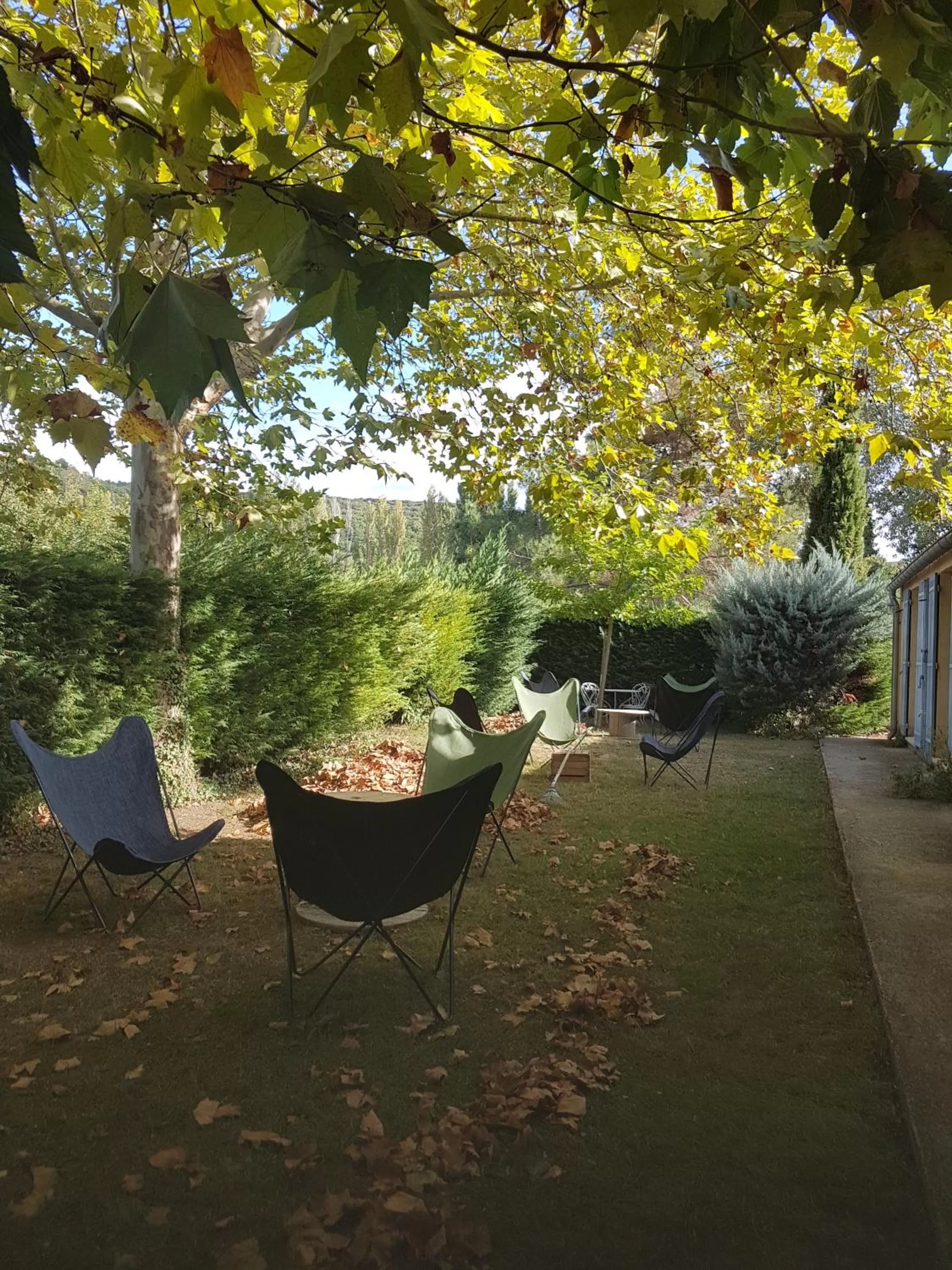 Garden in Chambres d'Hôtes Aux Tournesols