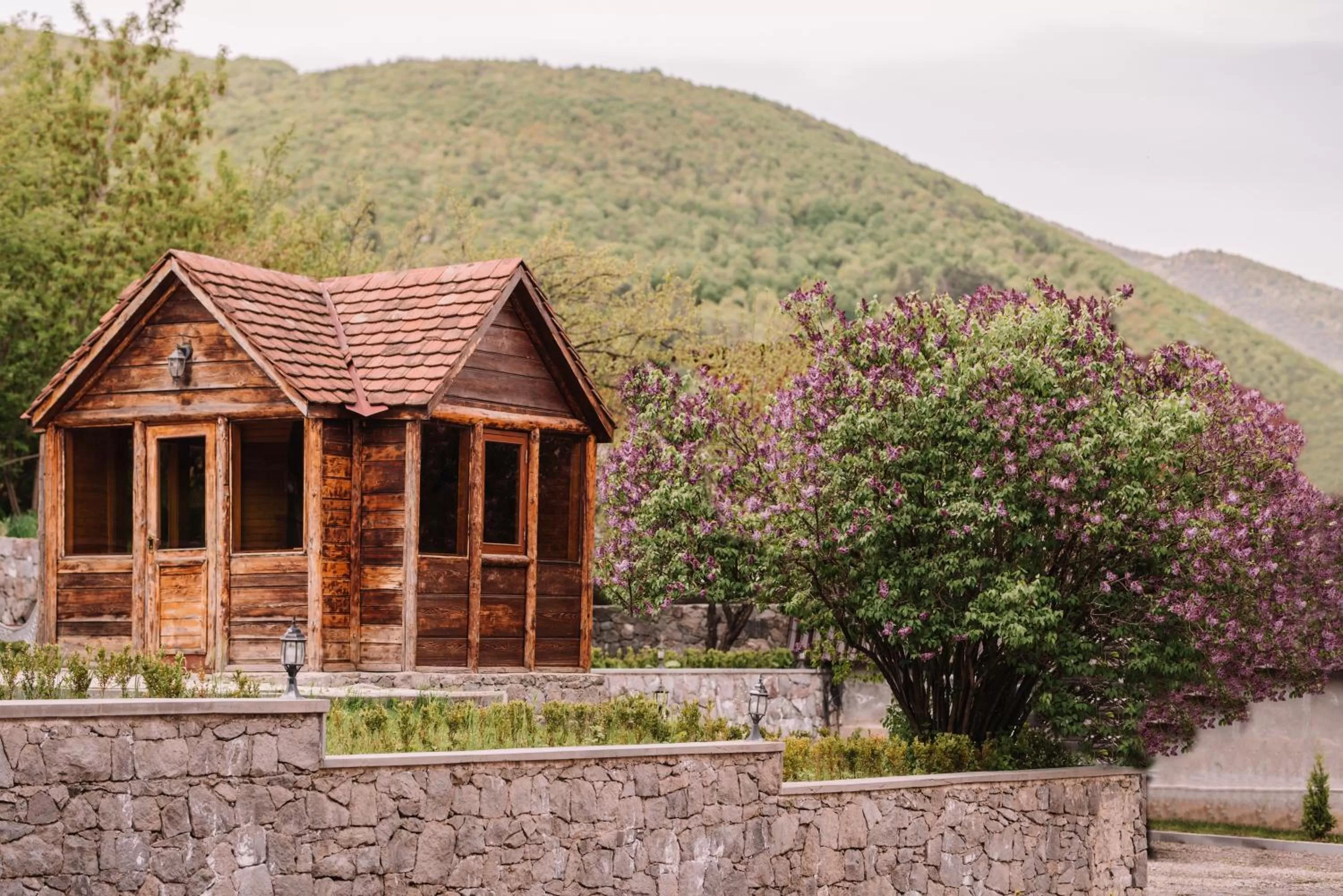 Mountain view in Laguna Hotel