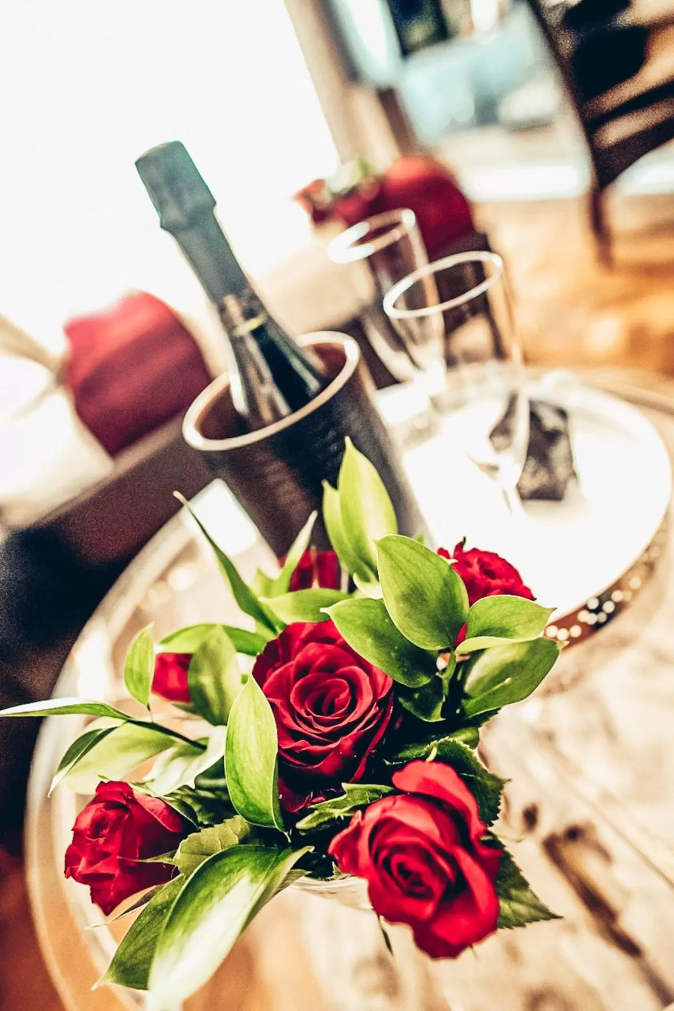 Area and facilities in Alfons Boutique Hotel