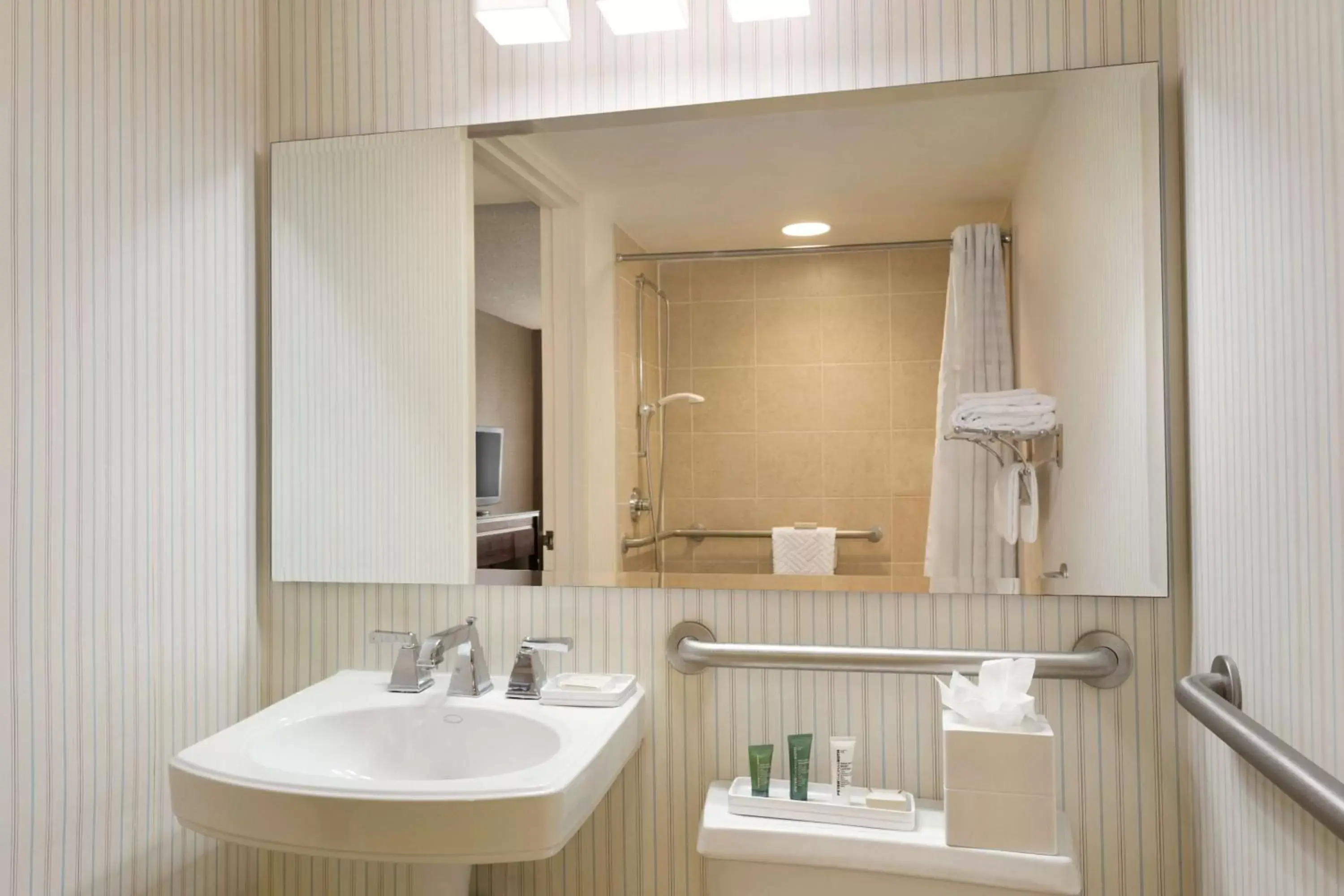 Bathroom in Hilton Meadowlands