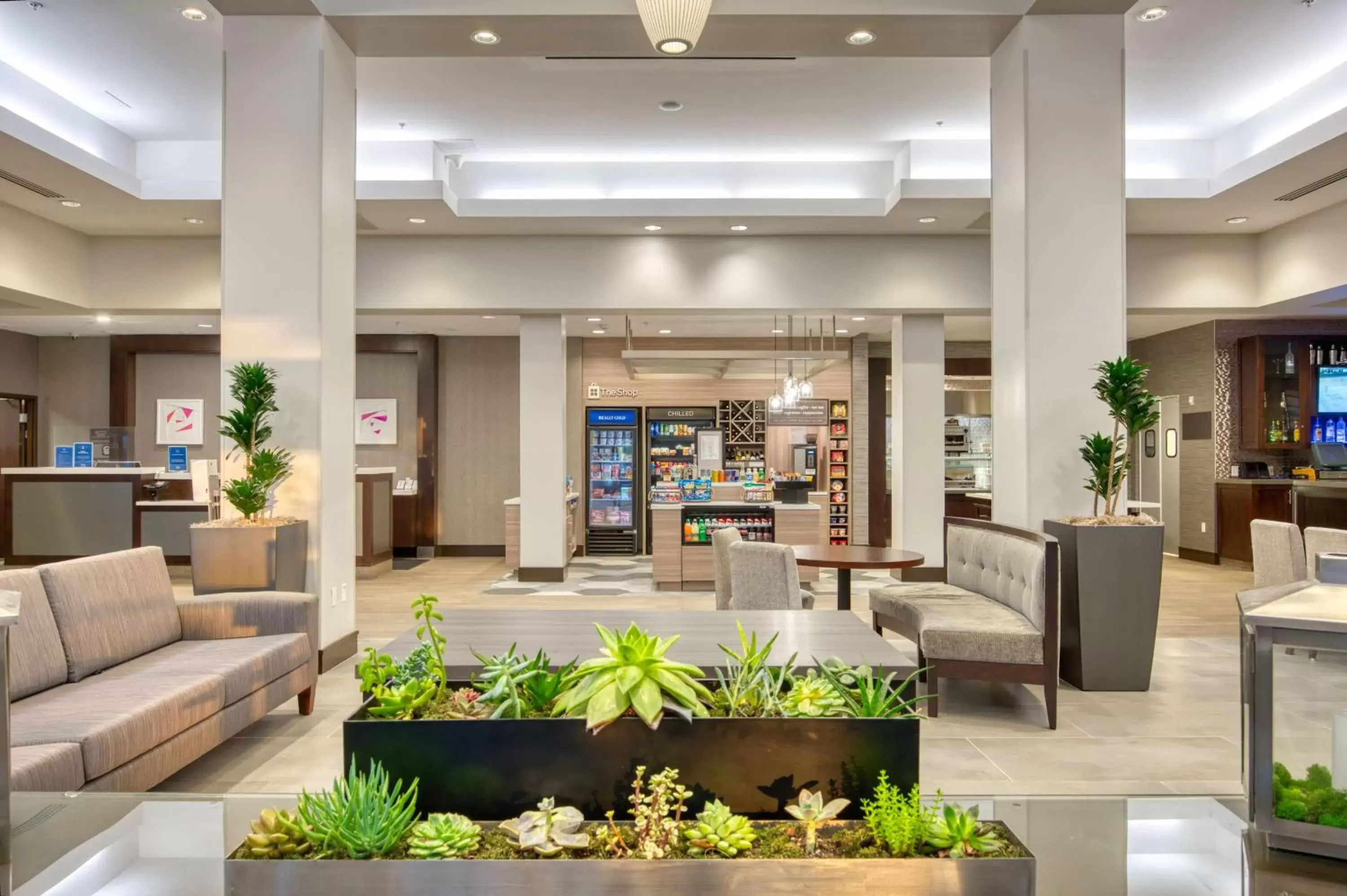 Lobby or reception, Lobby/Reception in Hilton Garden Inn Irvine/Orange County Airport