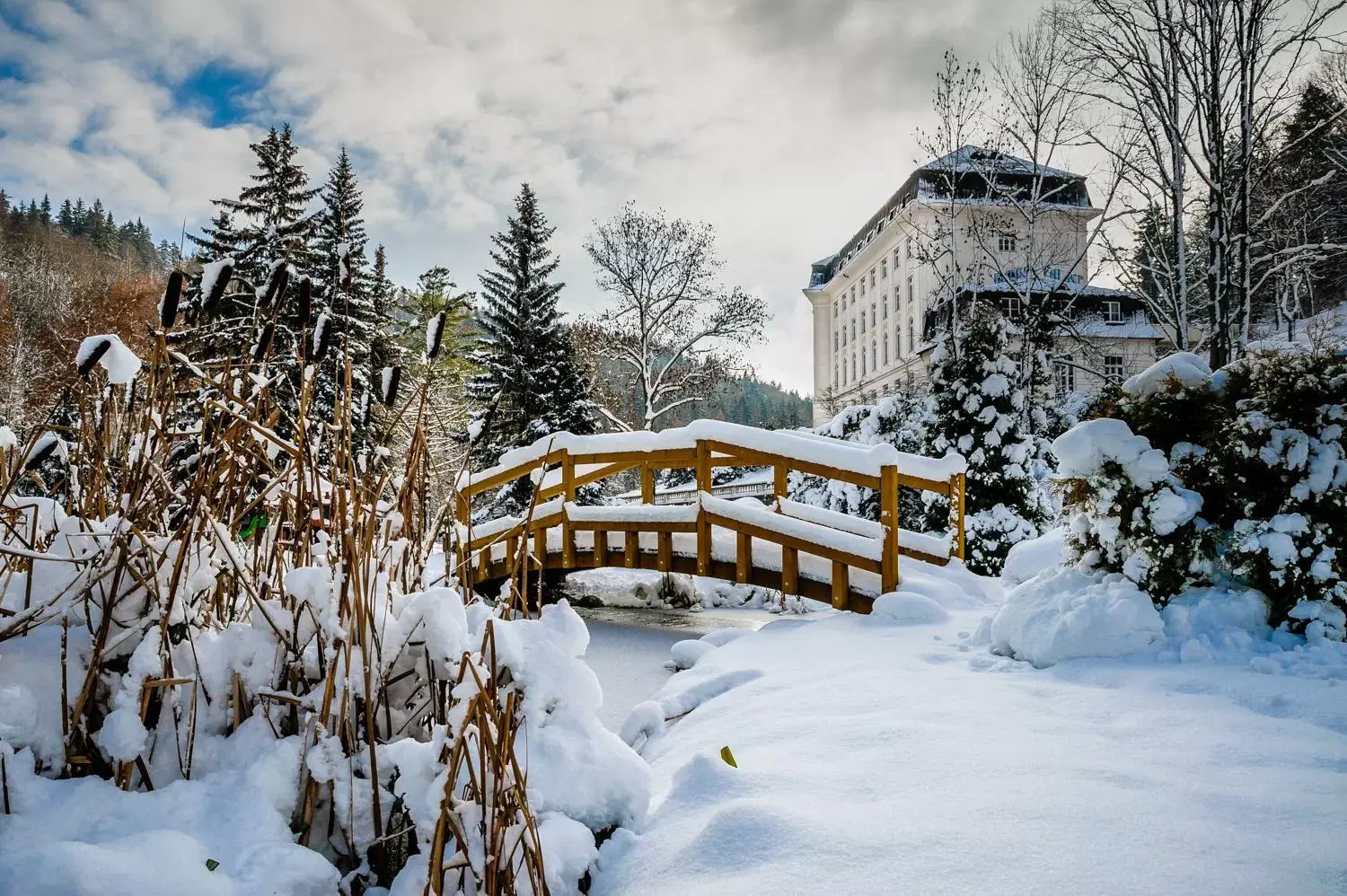 Property building, Winter in Hotel Radium Palace