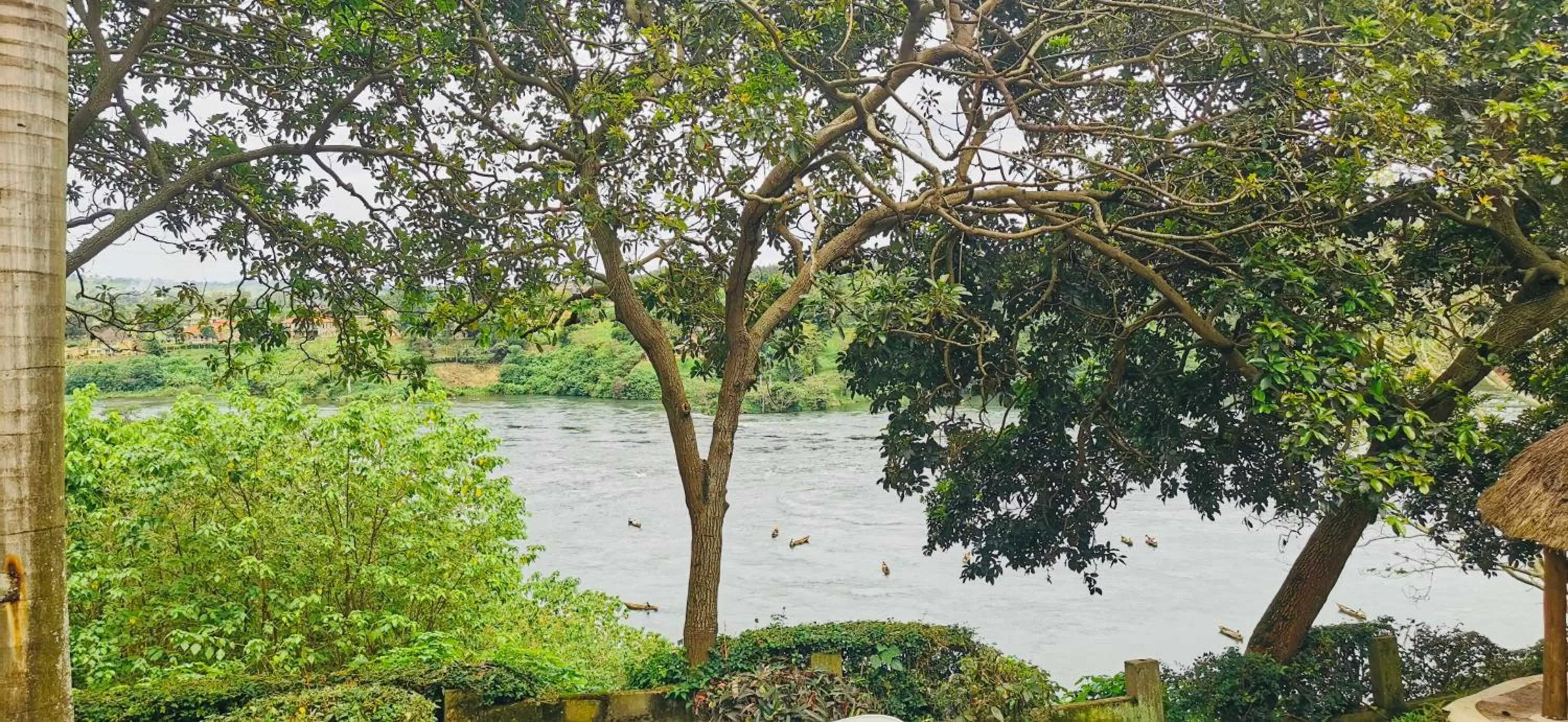Natural landscape in Jinja Nile Resort