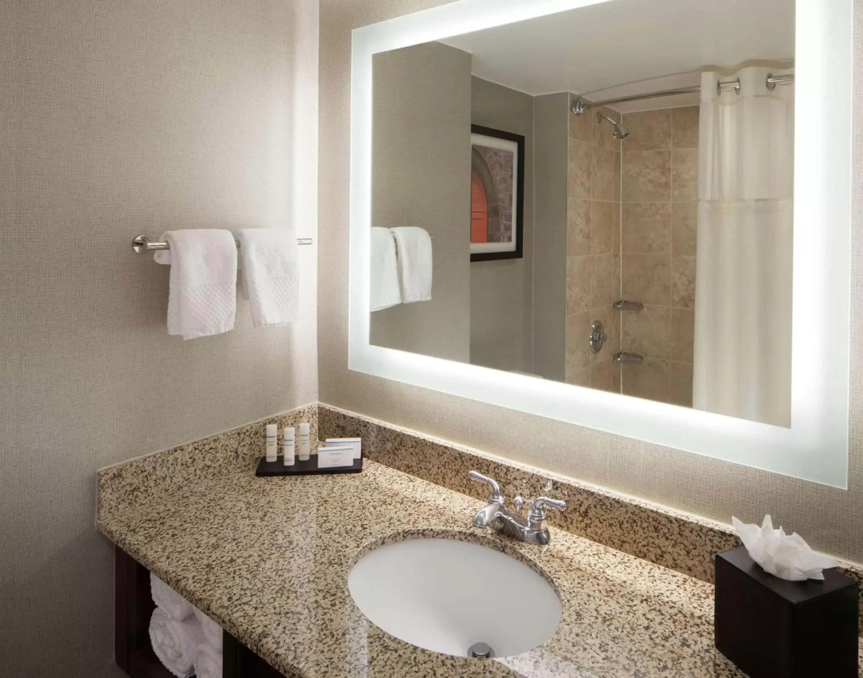 Bathroom in Embassy Suites by Hilton Philadelphia Airport