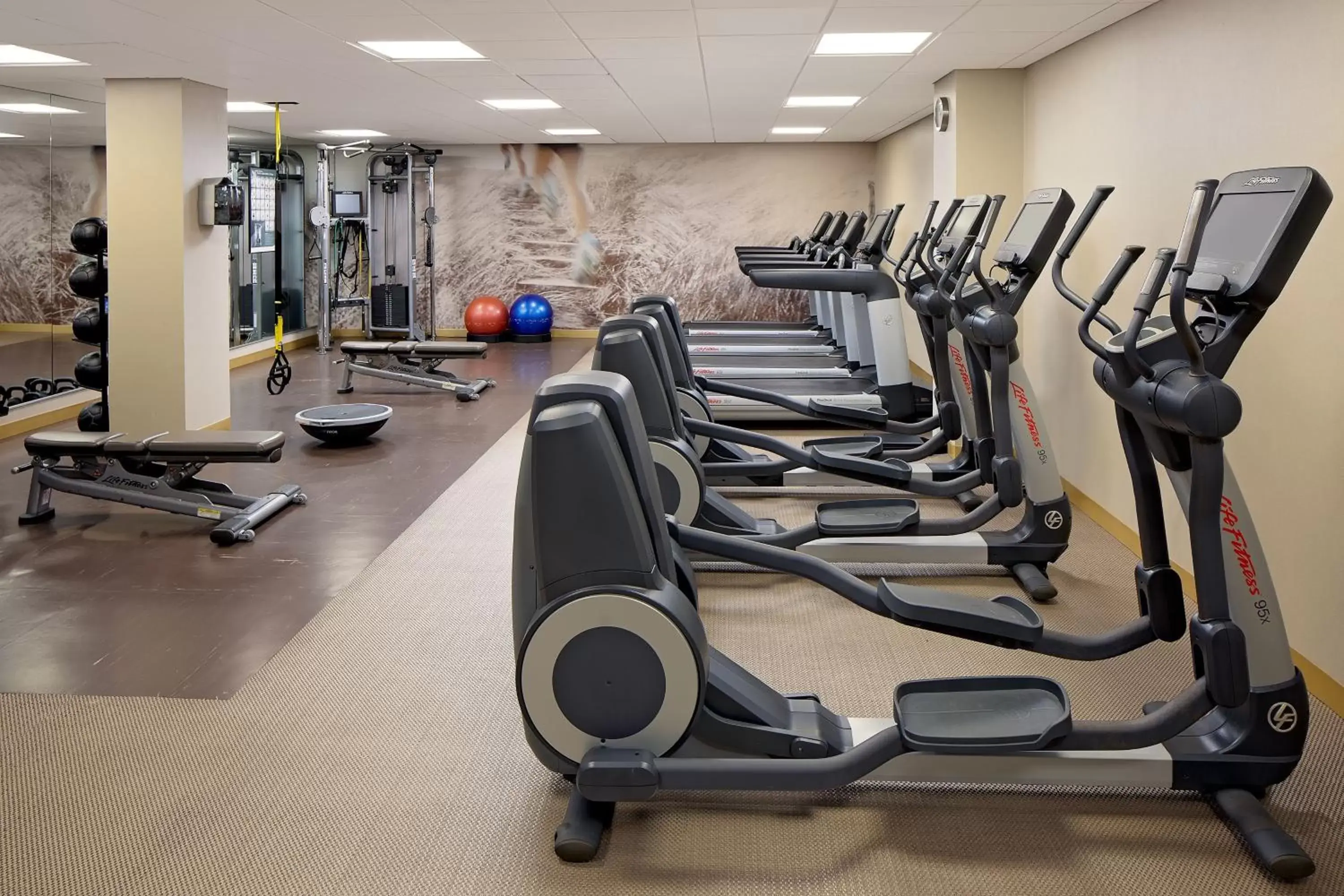 Fitness centre/facilities, Fitness Center/Facilities in The Westin Governor Morris, Morristown