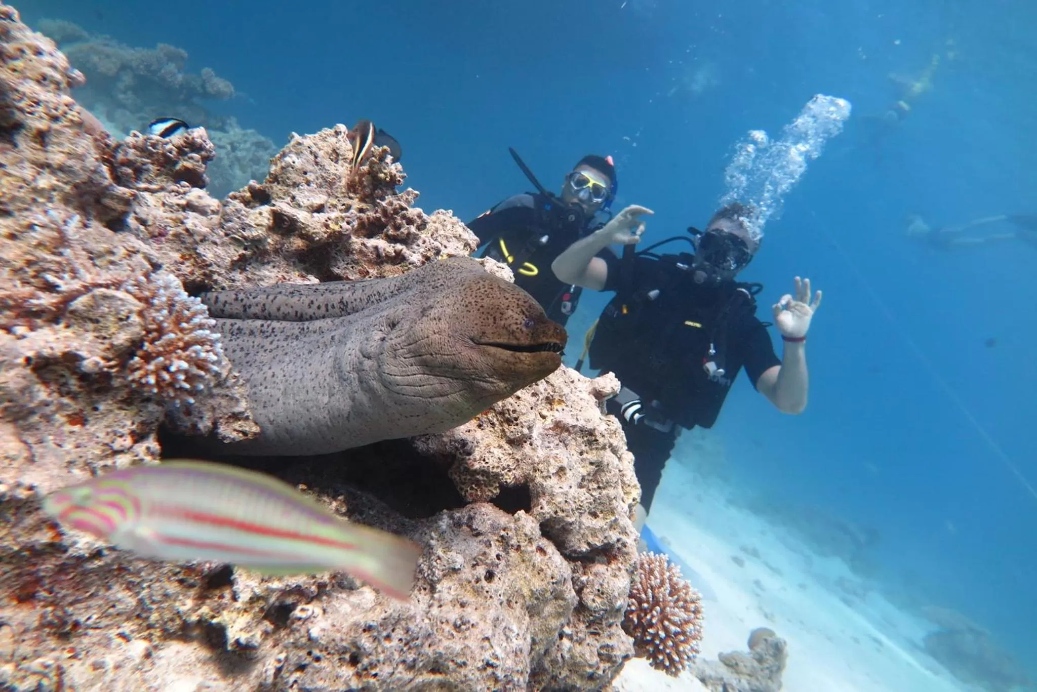 Diving in Jasmine Palace Resort