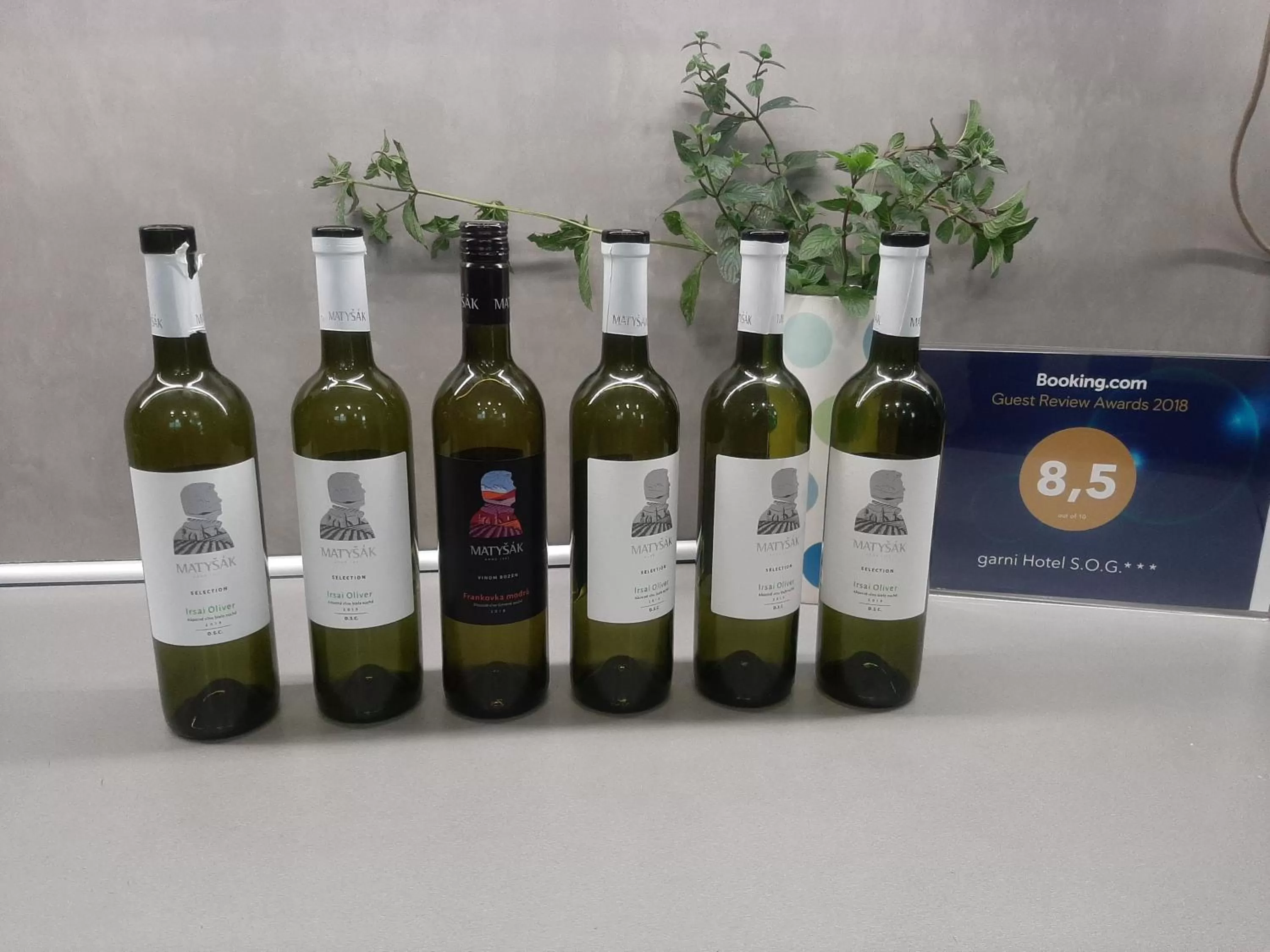 Entertainment in garni Hotel S.O.G.* * *