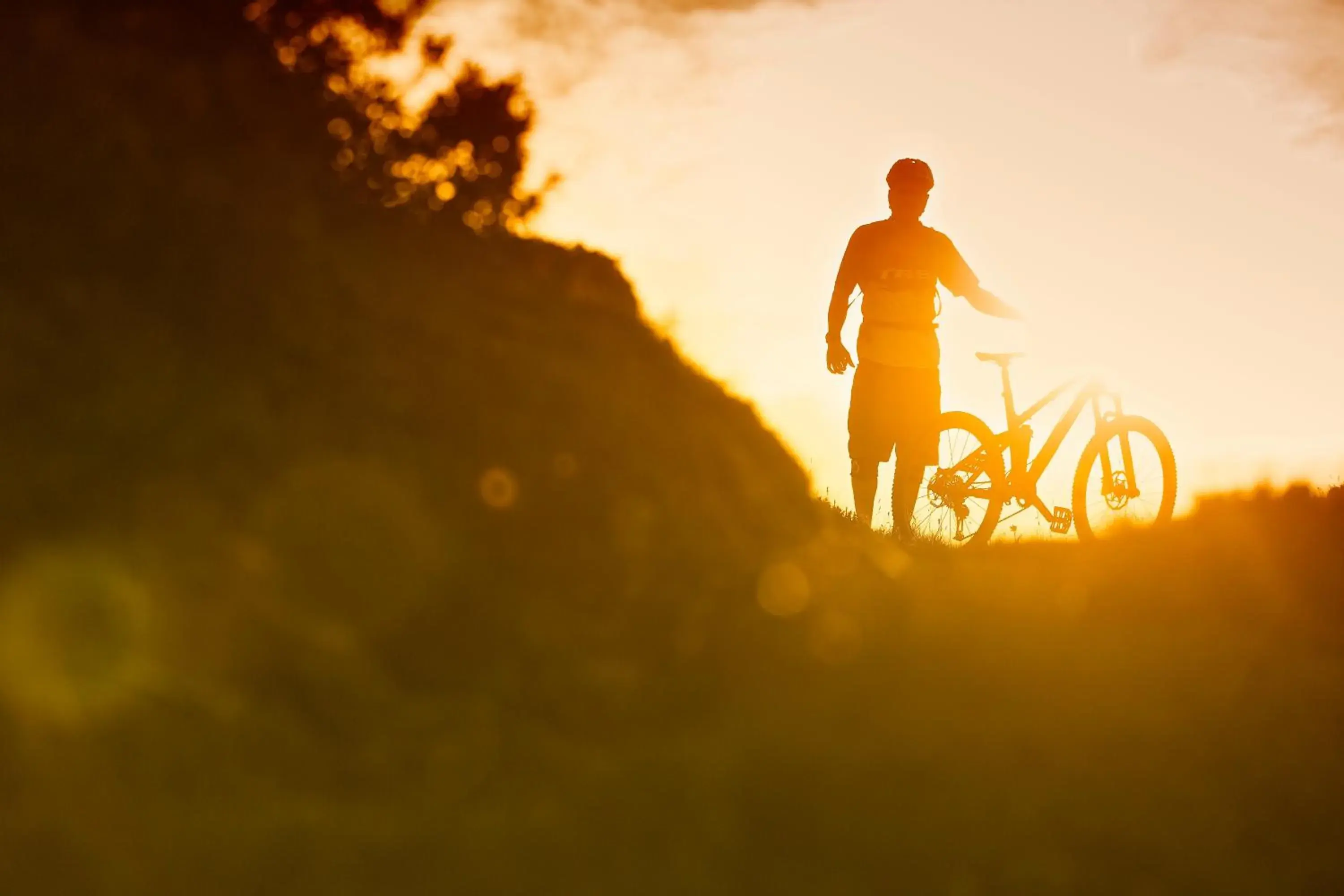 Cycling in FidazerHof