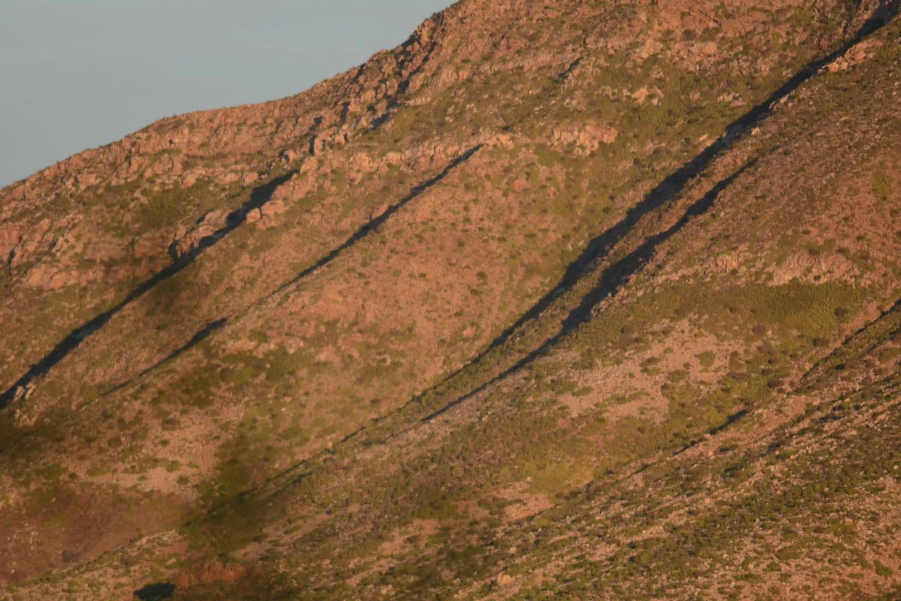 Mountain view in Travellers Rest