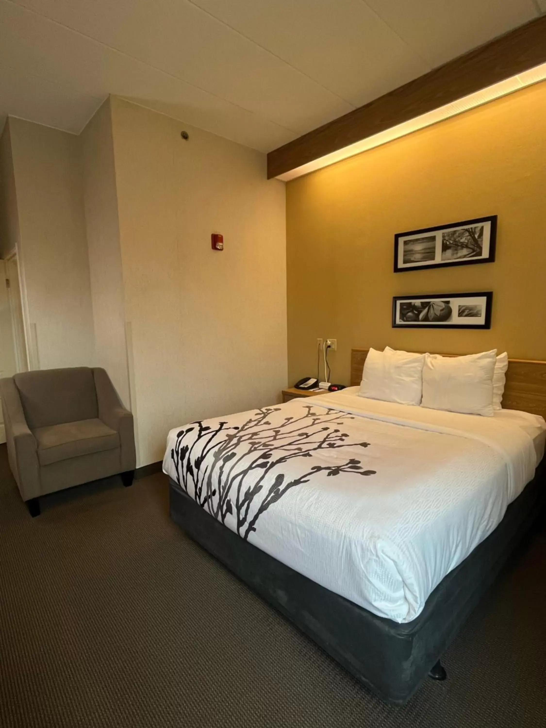 Bed in Sleep Inn Lynchburg - University Area & Hwy 460