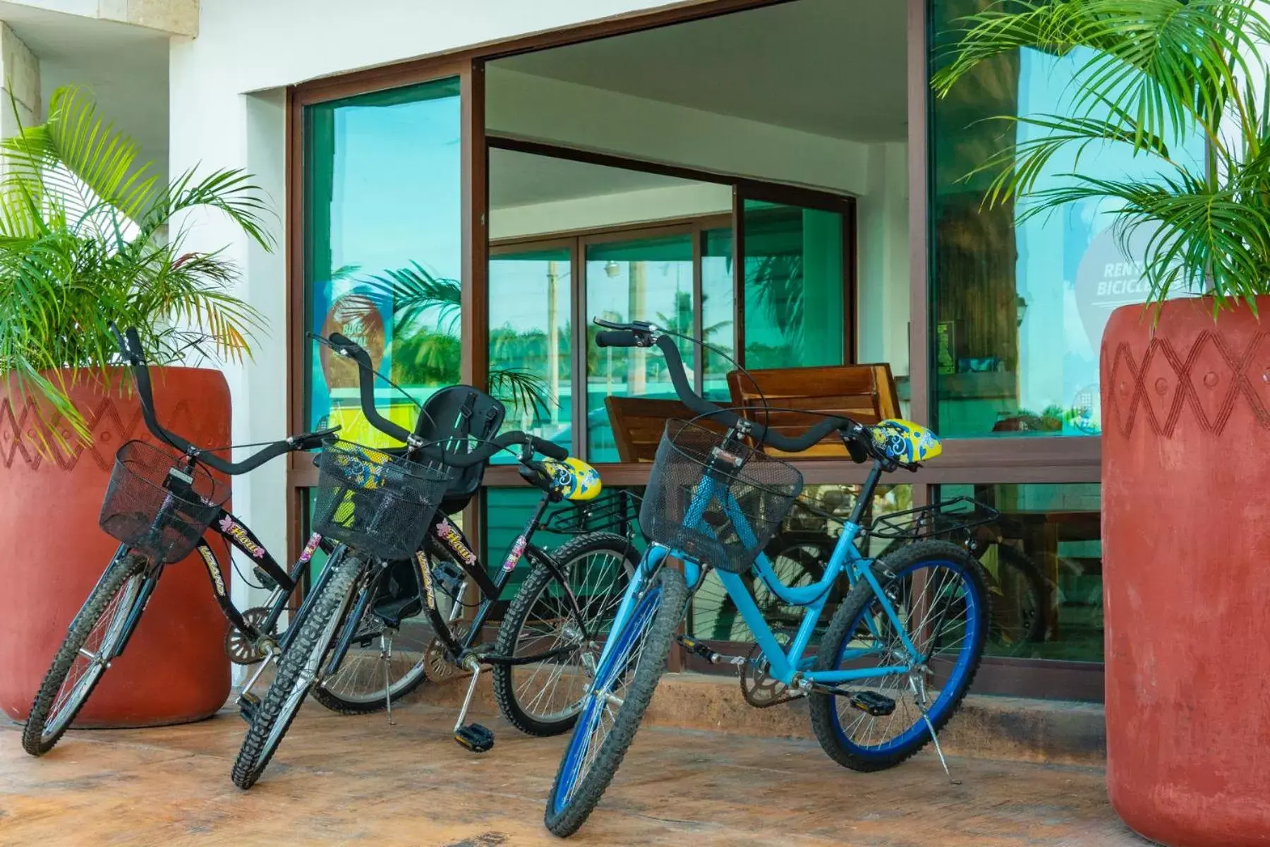 Cycling in Hotel Rio Lagartos