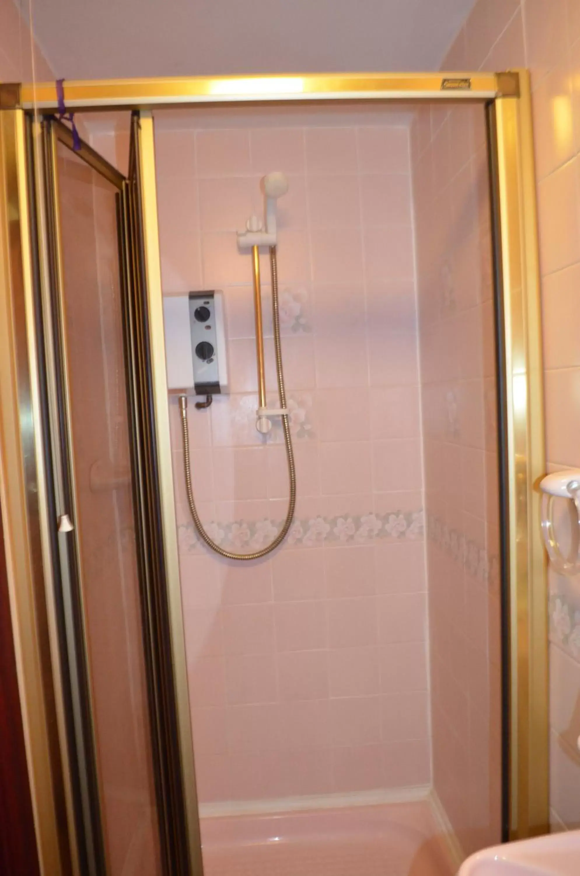 Shower, Bathroom in Lyndhurst Hotel