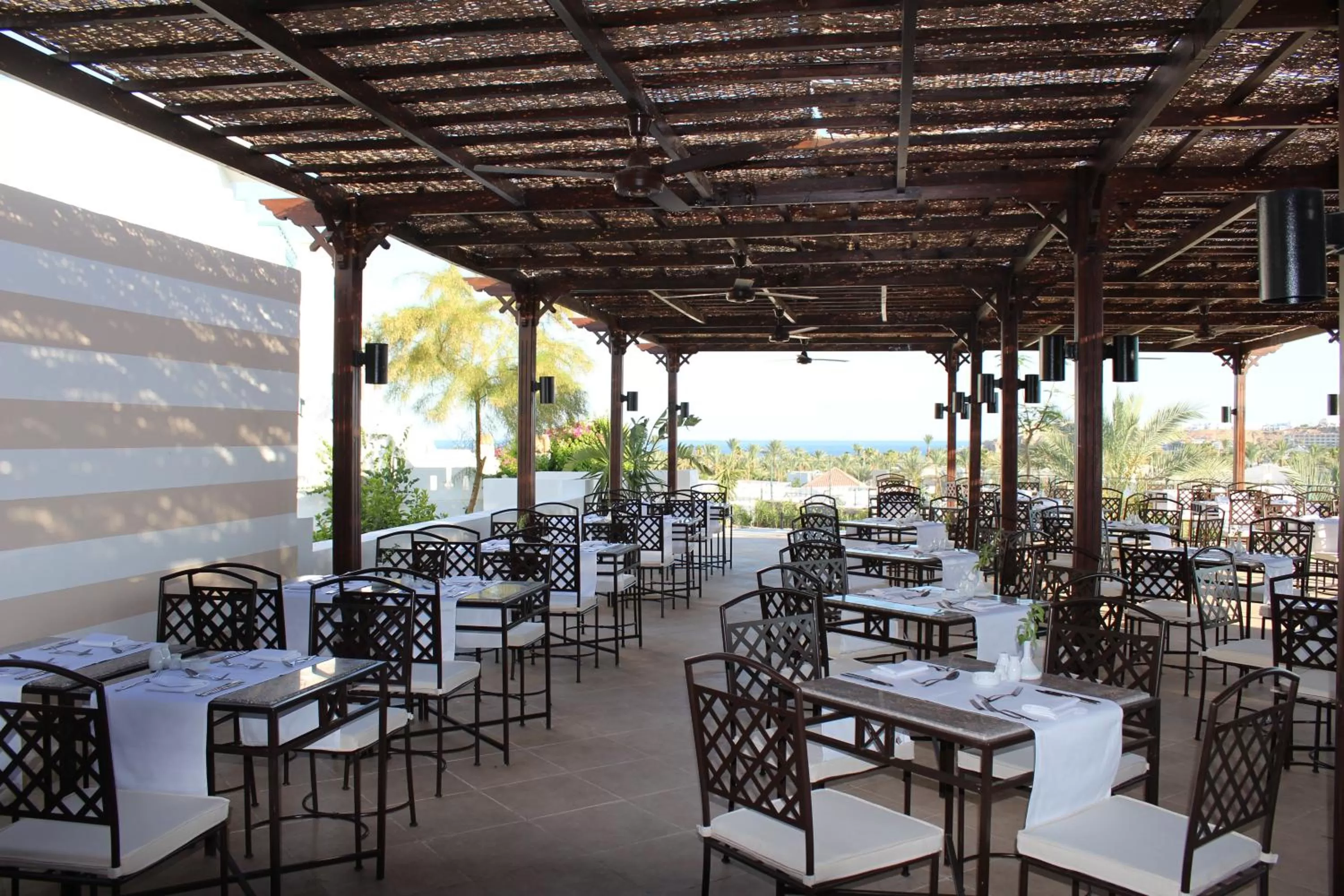 Restaurant/places to eat in JAZ Neo Naama Bay